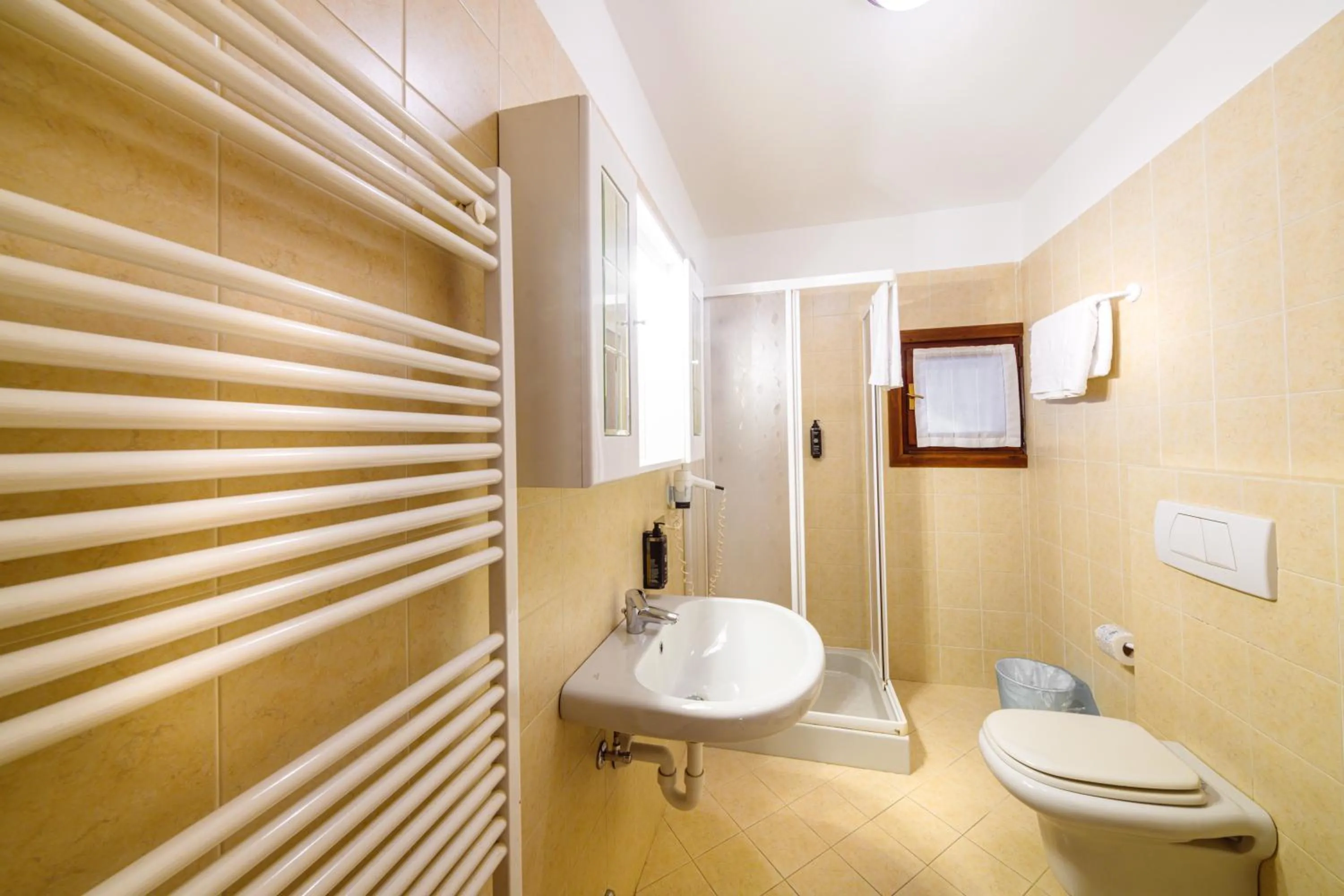 Shower in Hotel Ambassador Bormio
