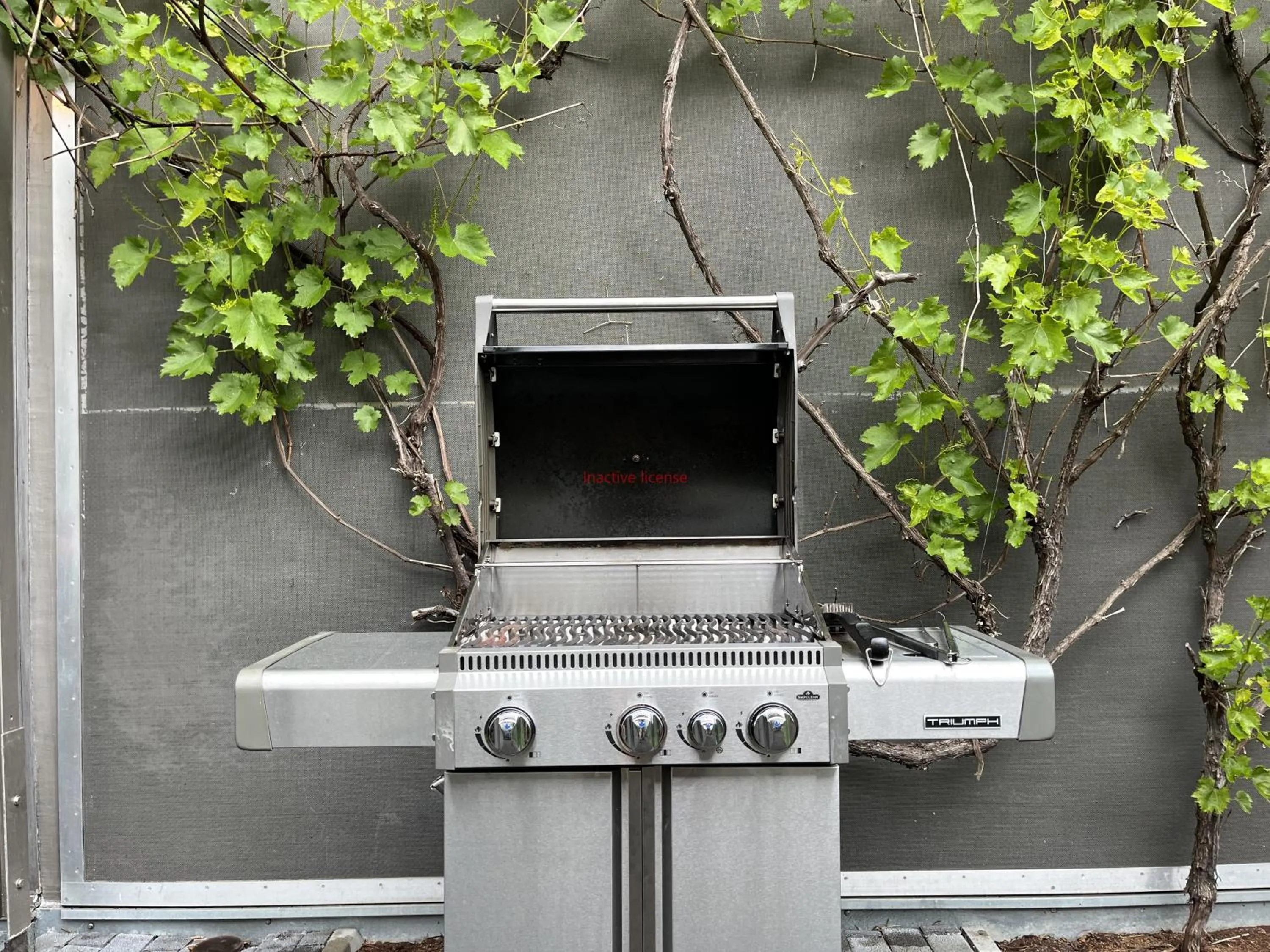 BBQ facilities in Holidayhome Elza