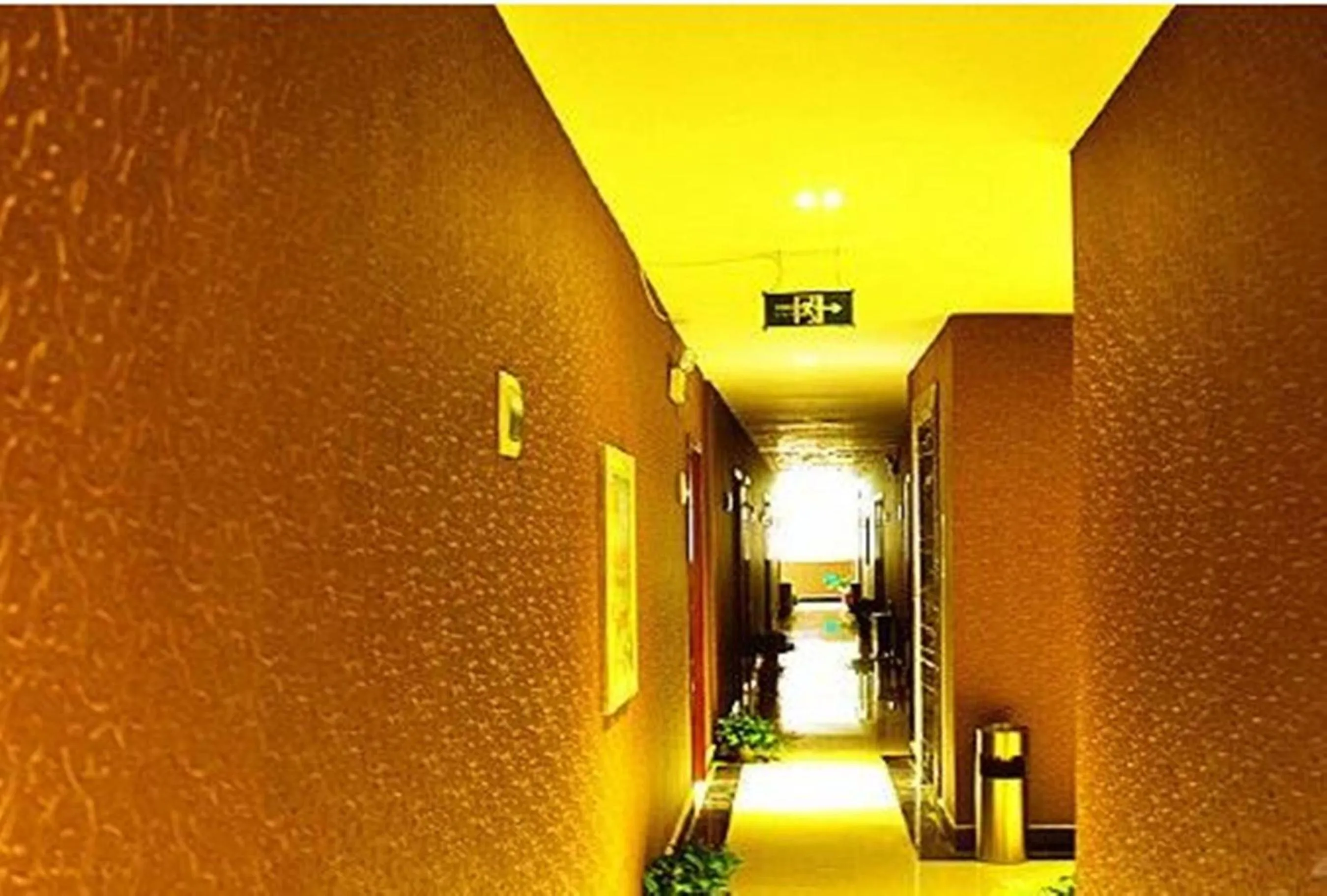 Decorative detail in XiShuangBanNa International Aerial Garden South of Mekong River Business Hotel 傣江南商务酒店