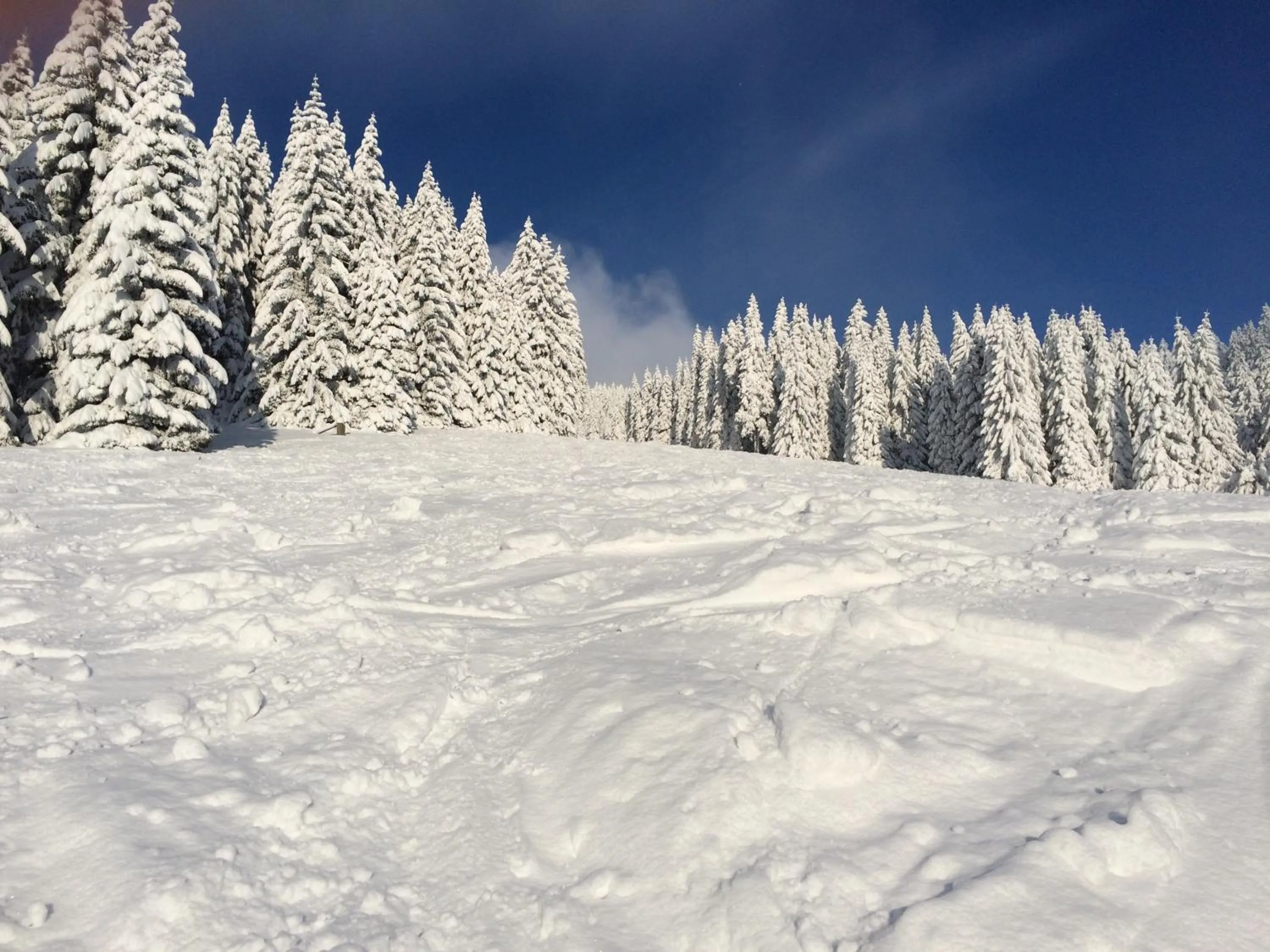 Winter in Apartmány Chata Švadlenka