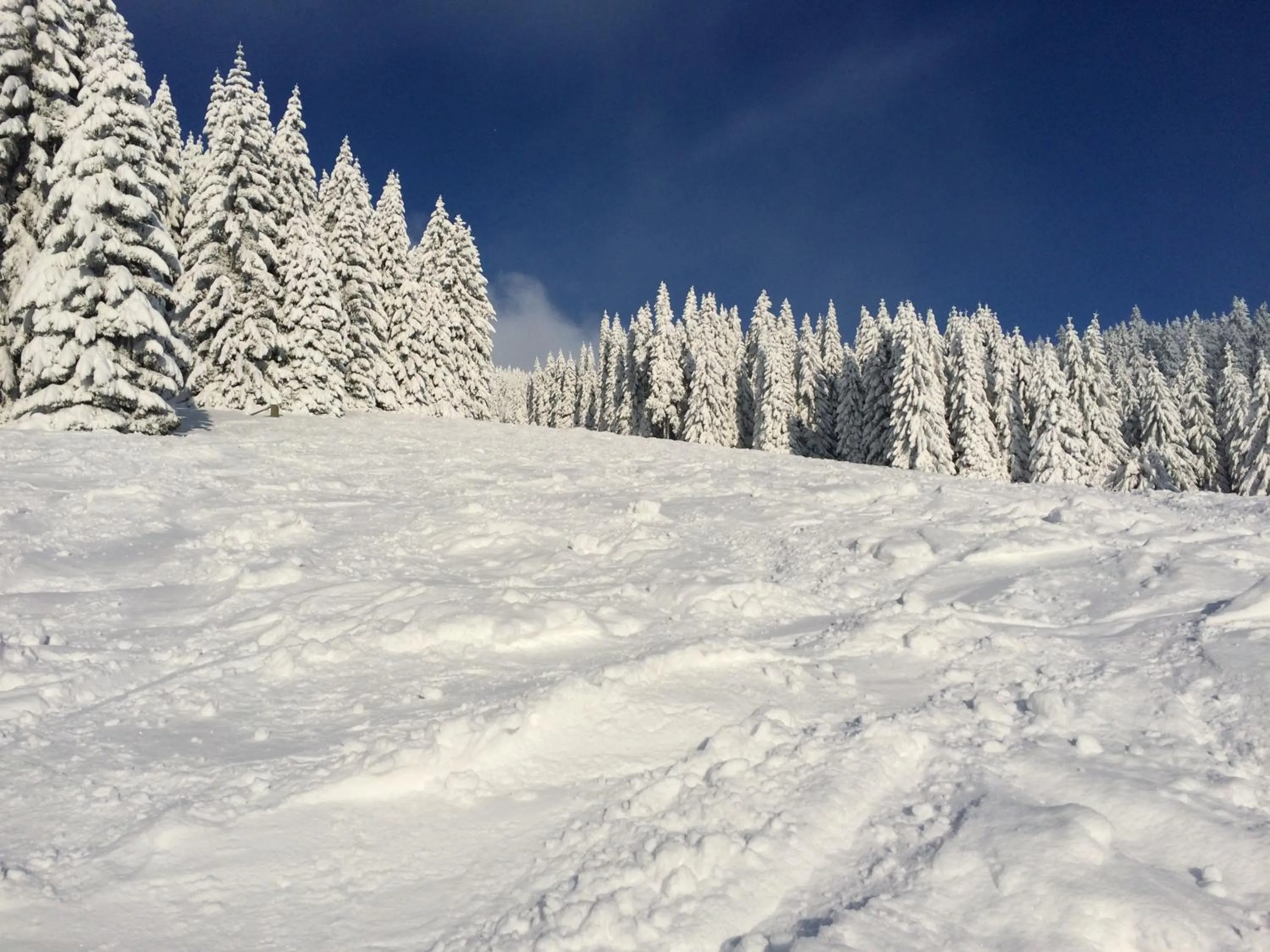 Winter in Apartmány Chata Švadlenka