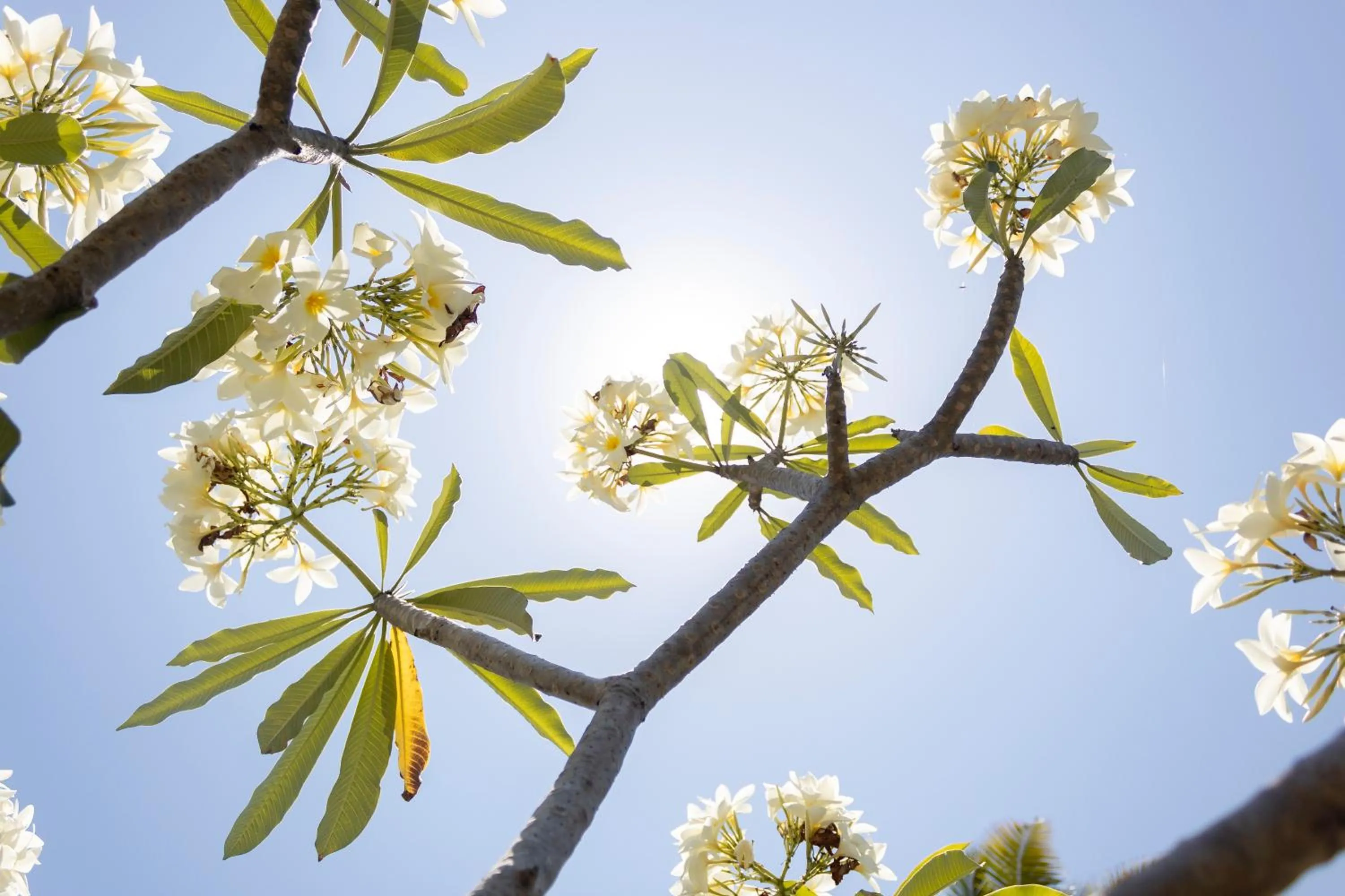 Spring in Pousada Lagoa Da Pedra