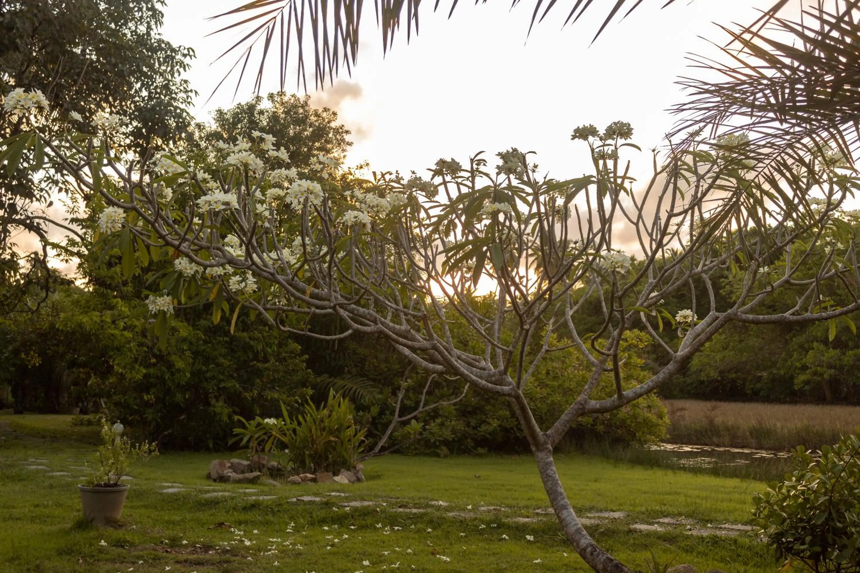 Garden in Pousada Lagoa Da Pedra