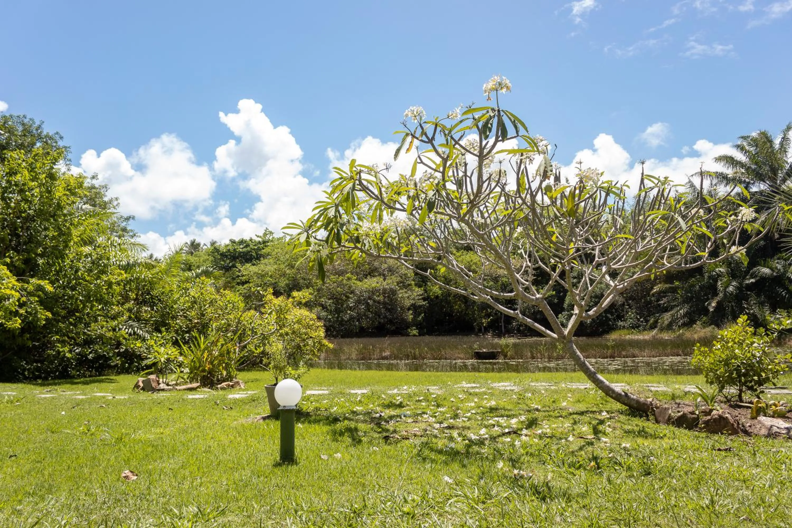 Natural landscape in Pousada Lagoa Da Pedra