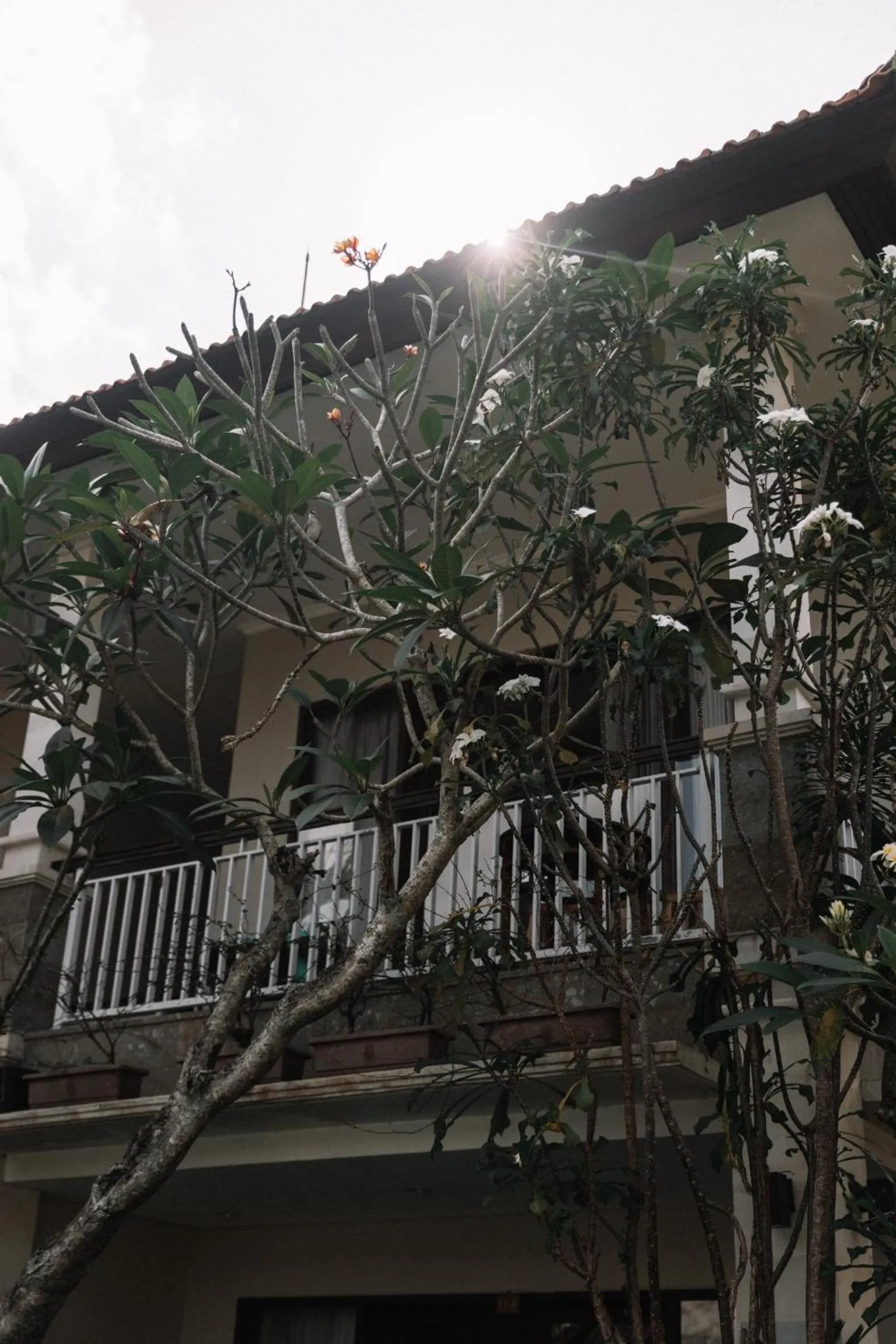 Merthayasa Bungalow 2