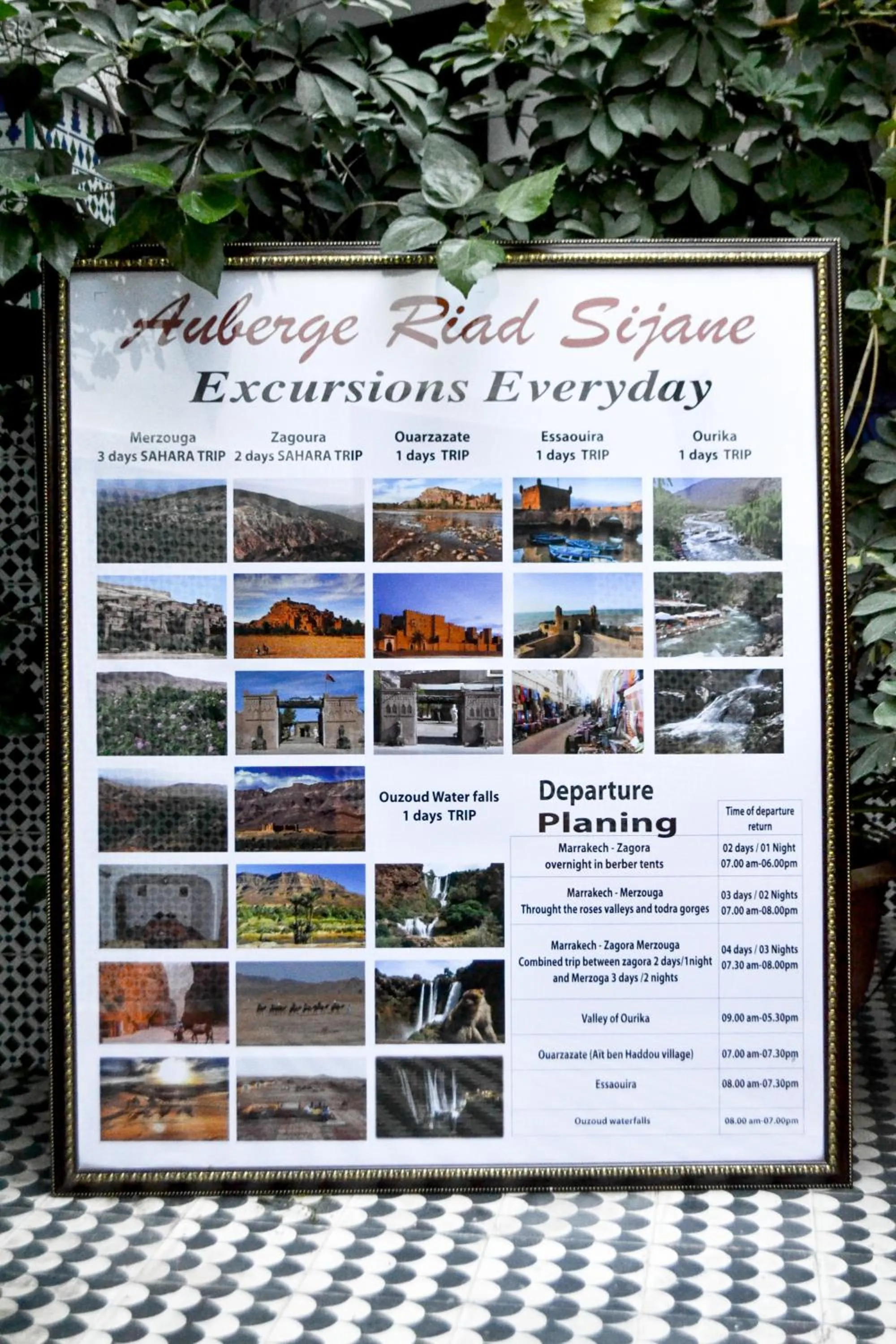 Activities in Riad Sijane