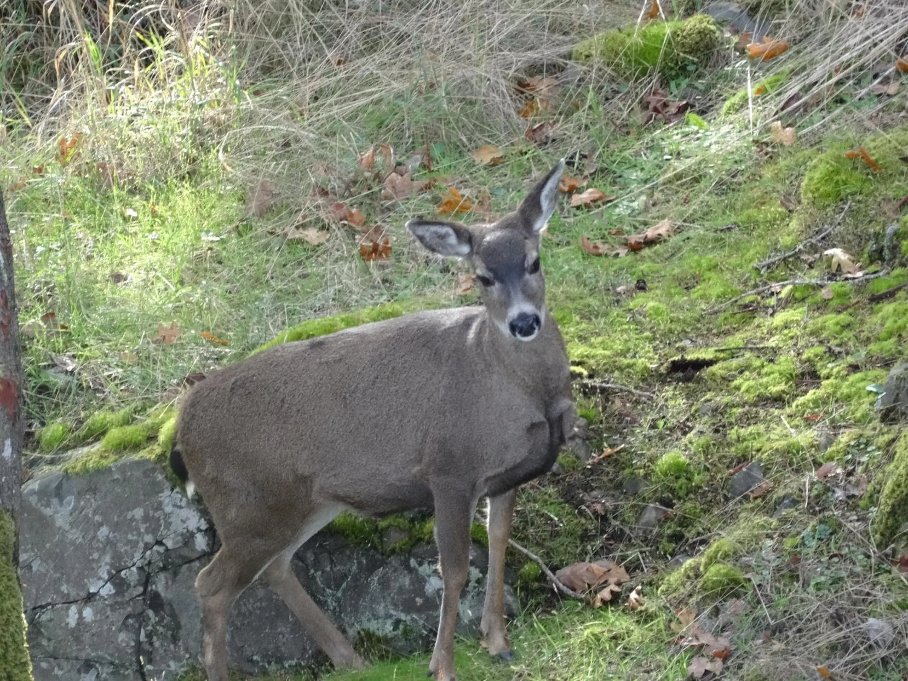 Queen Room in Gibralter Rock Ocean View B&B Queen Room in Gibralter Rock Ocean View B&B