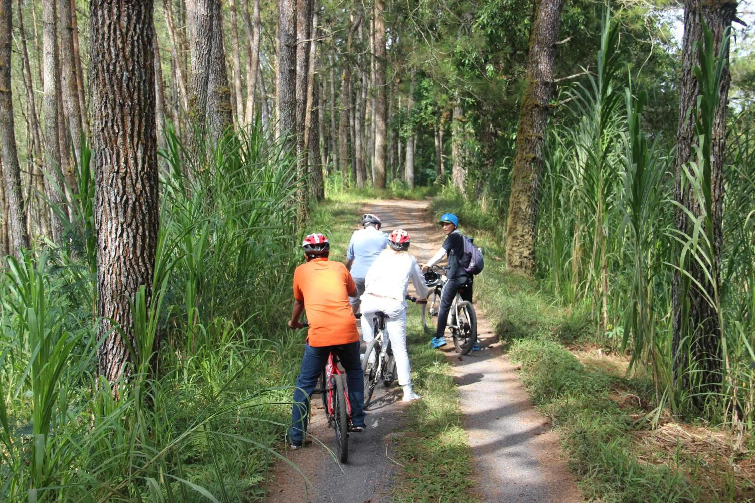 Cycling in De Klumpu Bali Eco Tradi Stay