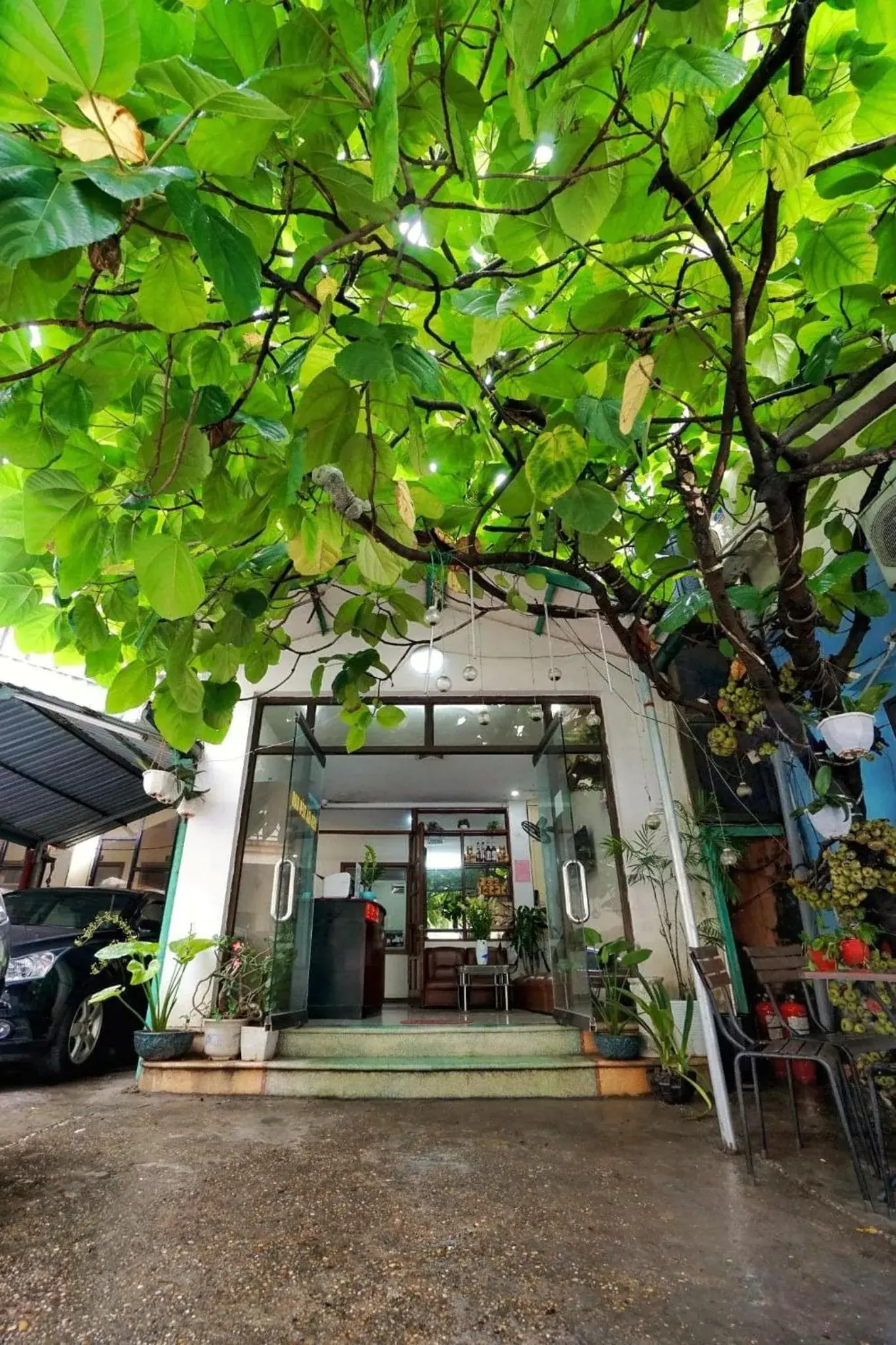 Hotel Giao Thông Hotel Giao Thông