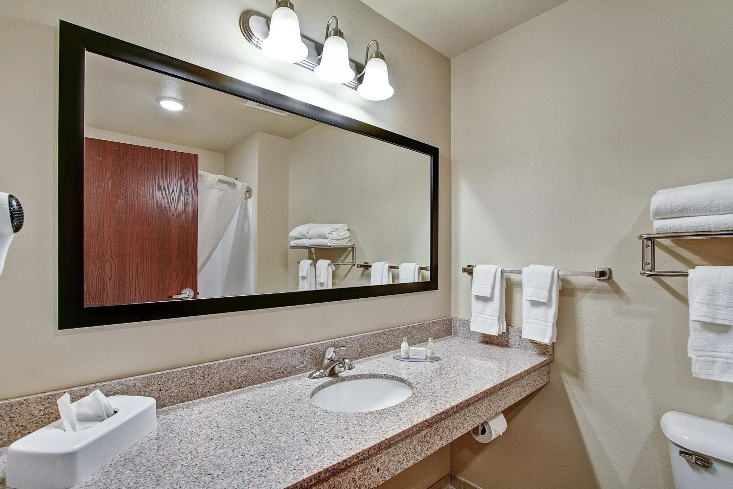 Toilet in Castle Rock Inn & Suites - Quinter