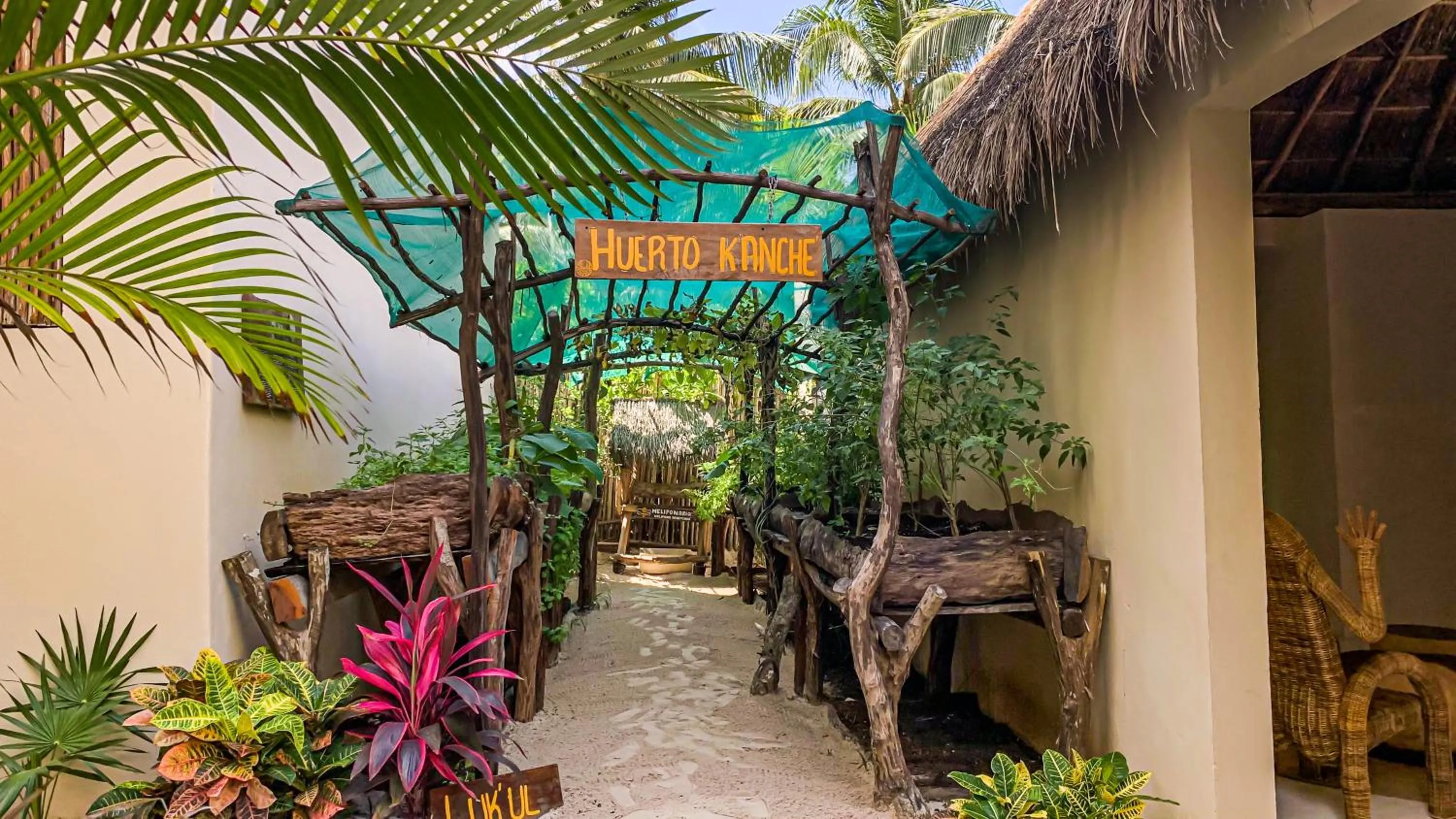 Garden in Dune Boutique Hotel located at the party zone