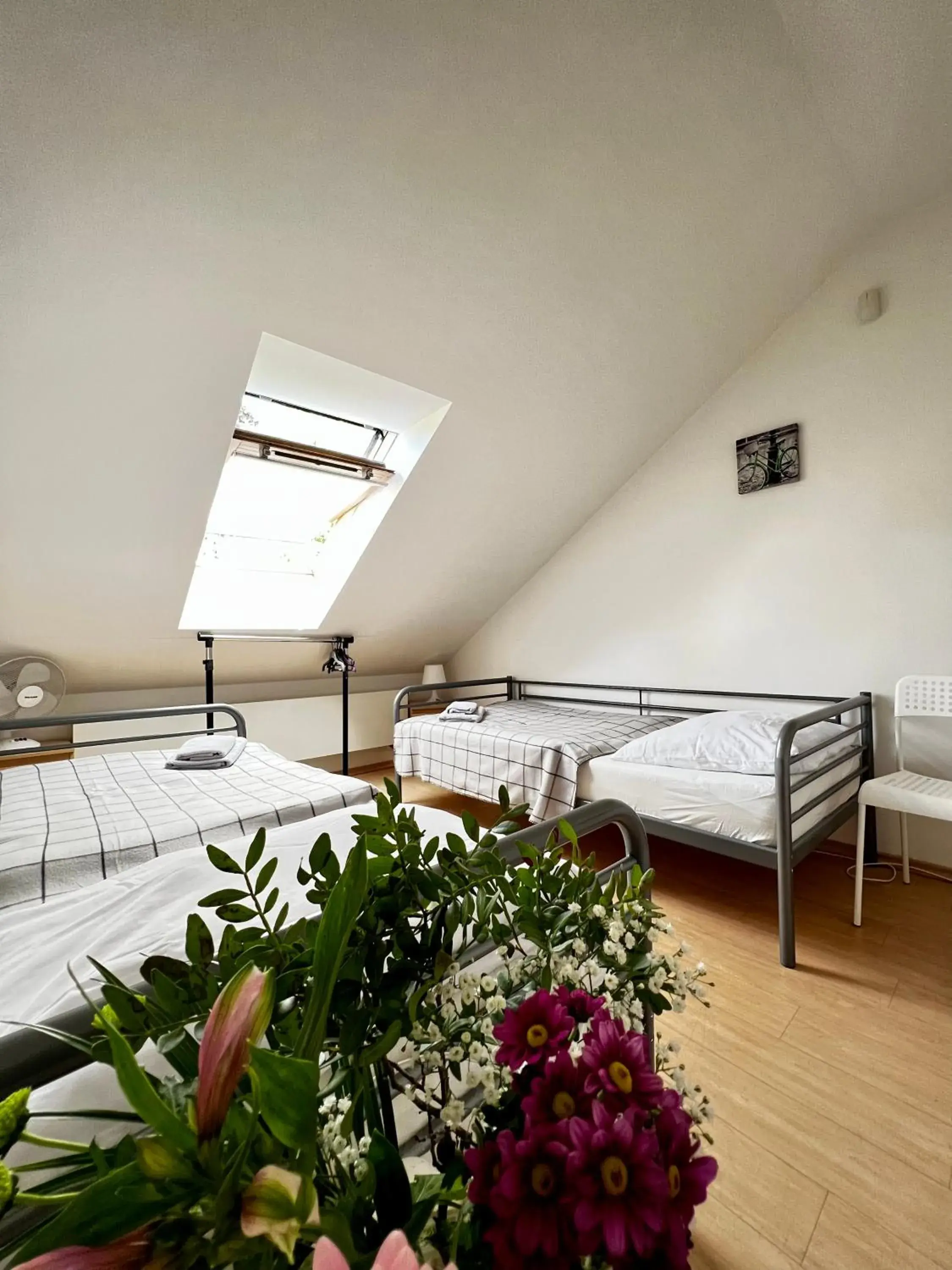 Twin Room with Shared Bathroom - single occupancy in Penzion Sofi Twin Room with Shared Bathroom - single occupancy in Penzion Sofi