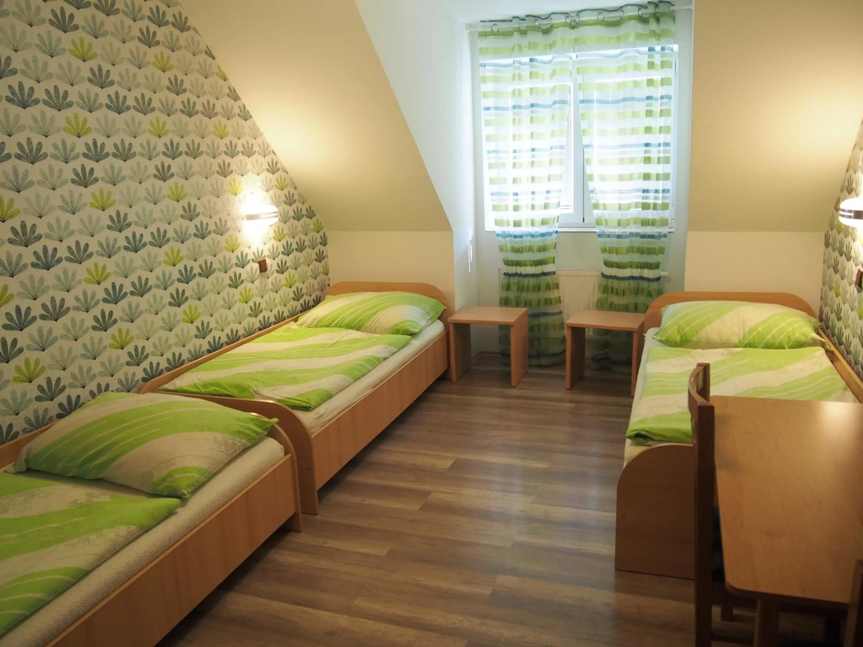 Triple Room with Bathroom in Hotel Olga