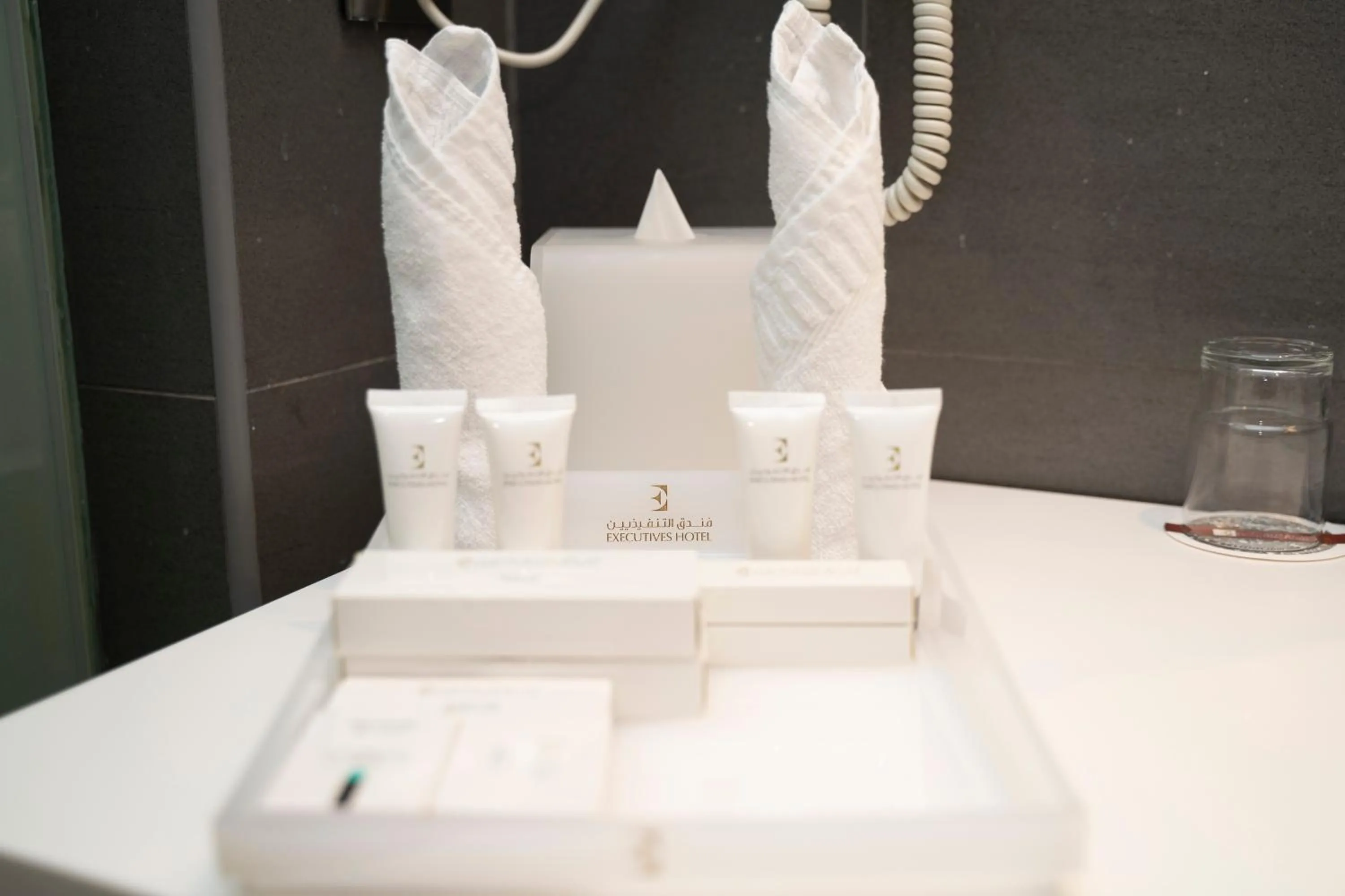 Toilet in Executives Hotel - KAFD