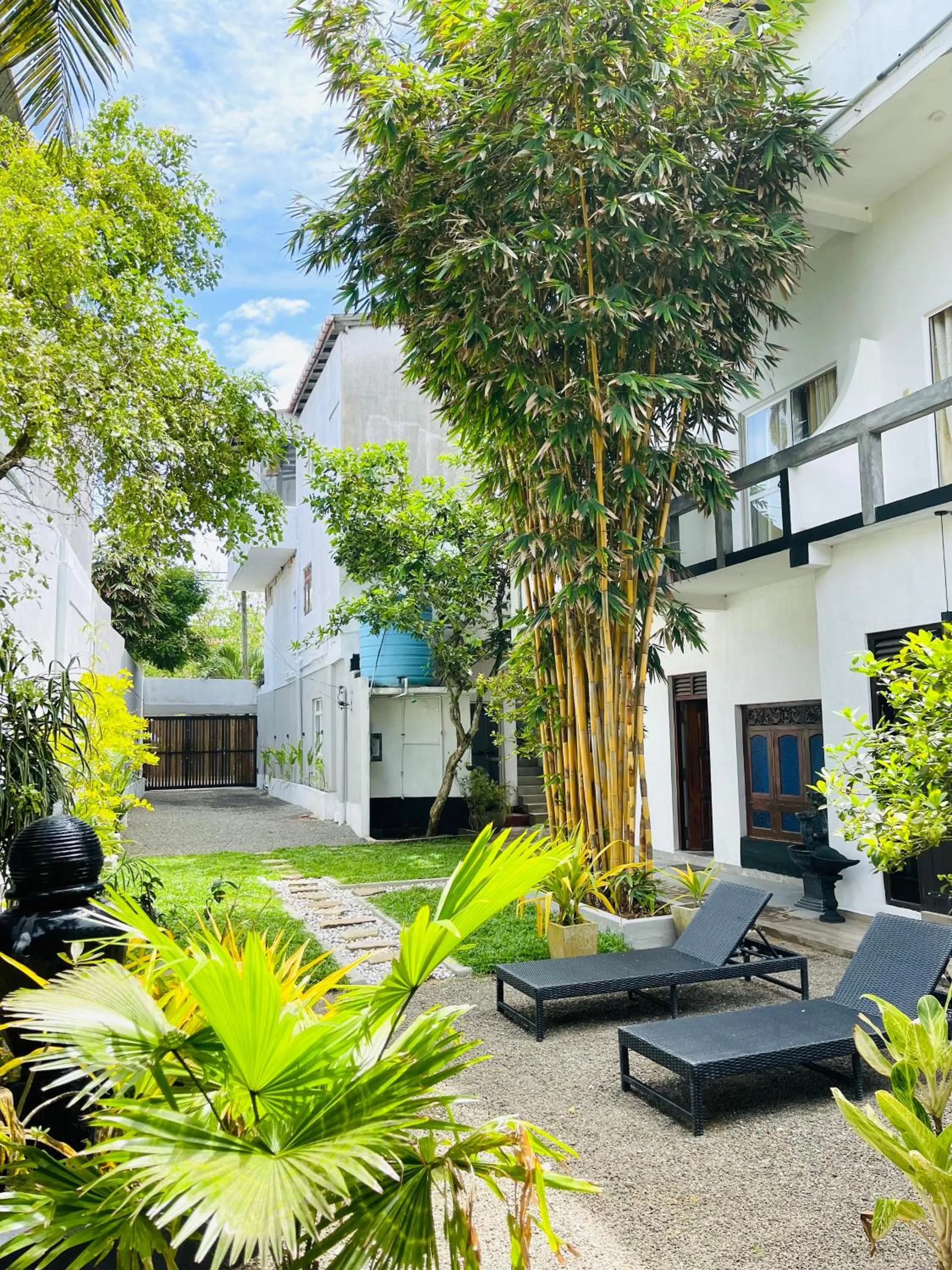 Garden in Cocoplant Surf Inn