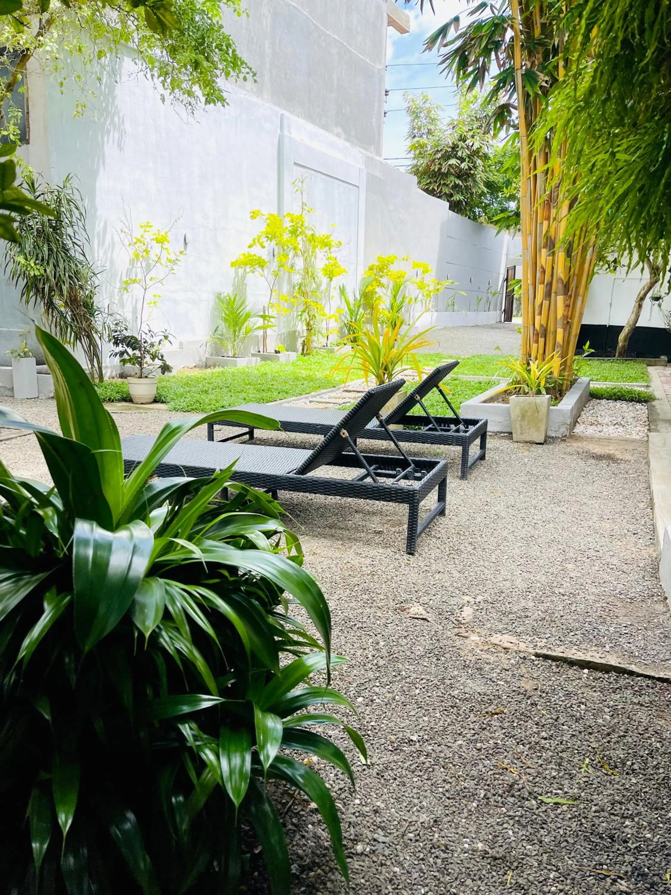 Garden in Cocoplant Surf Inn