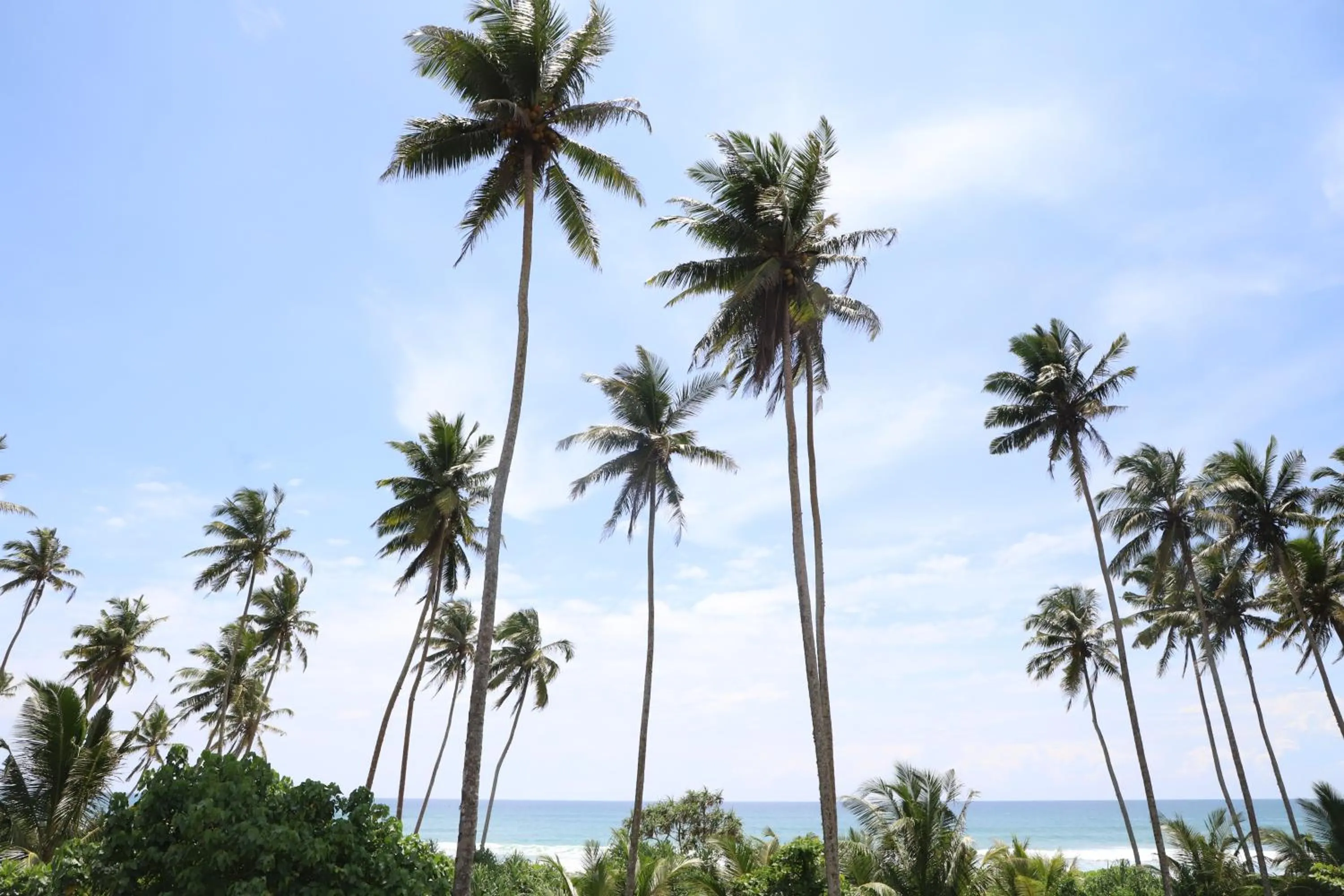 Day in Cocoplant Surf Inn