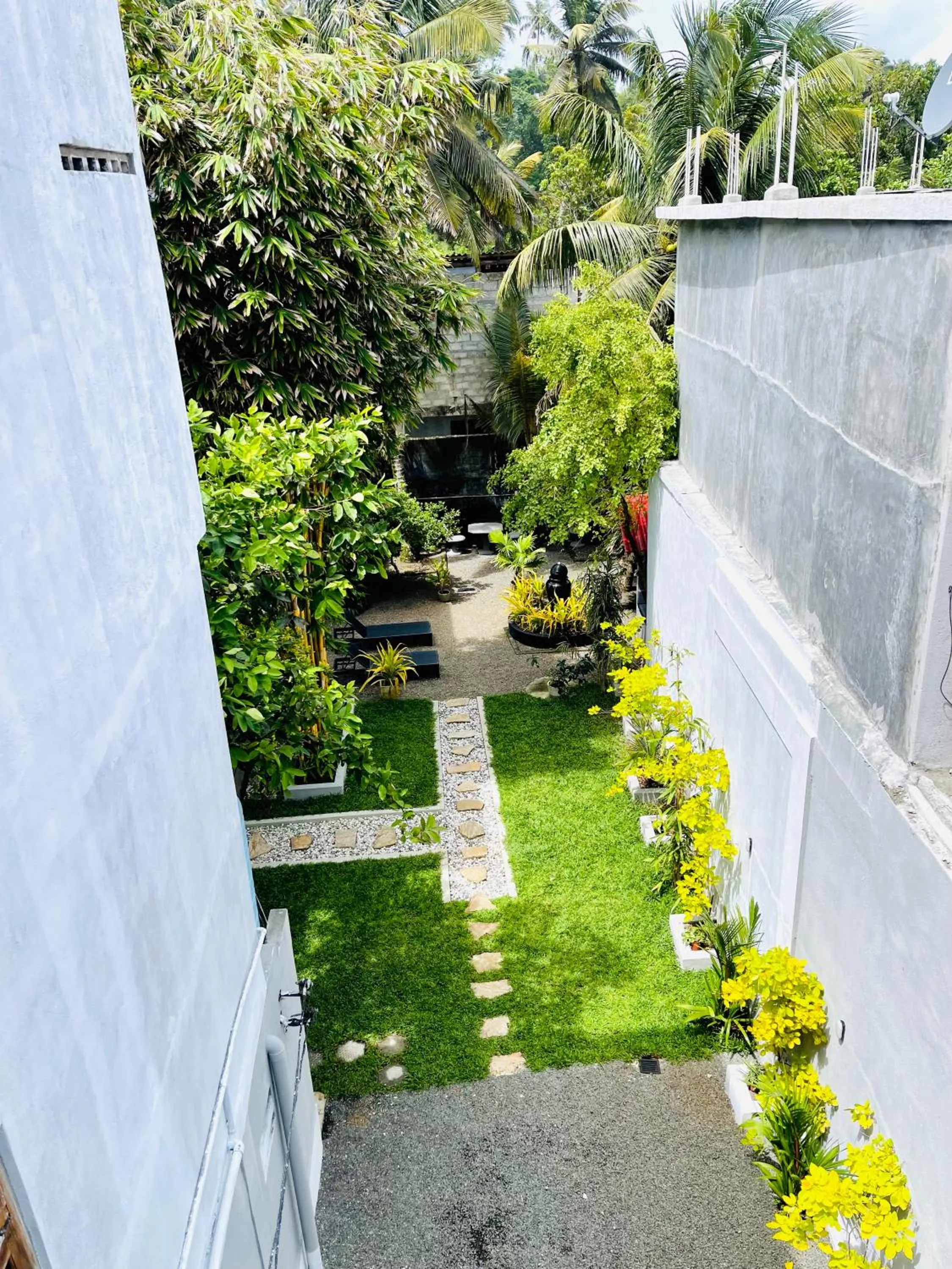 Garden in Cocoplant Surf Inn