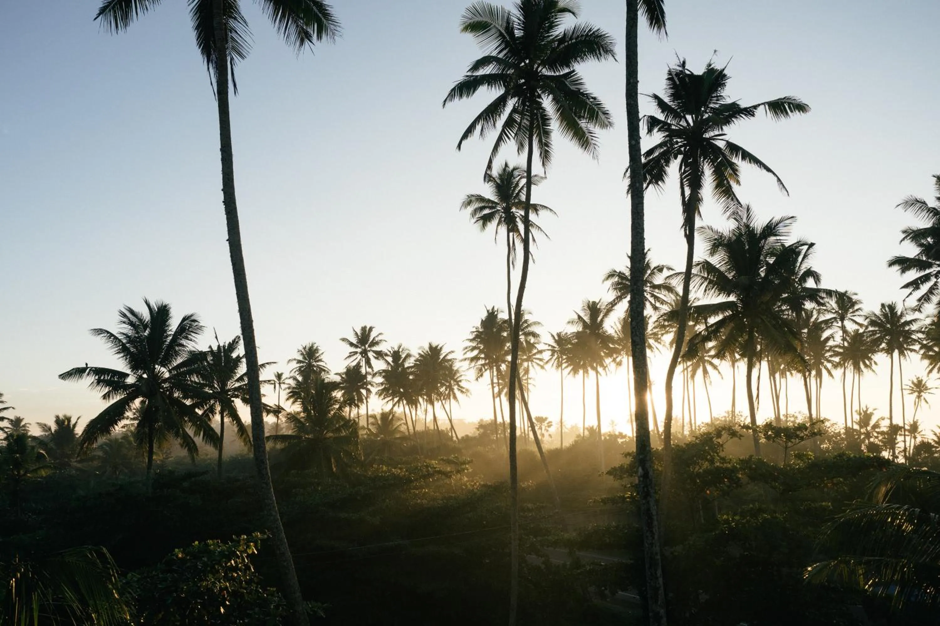 View (from property/room) in Cocoplant Surf Inn