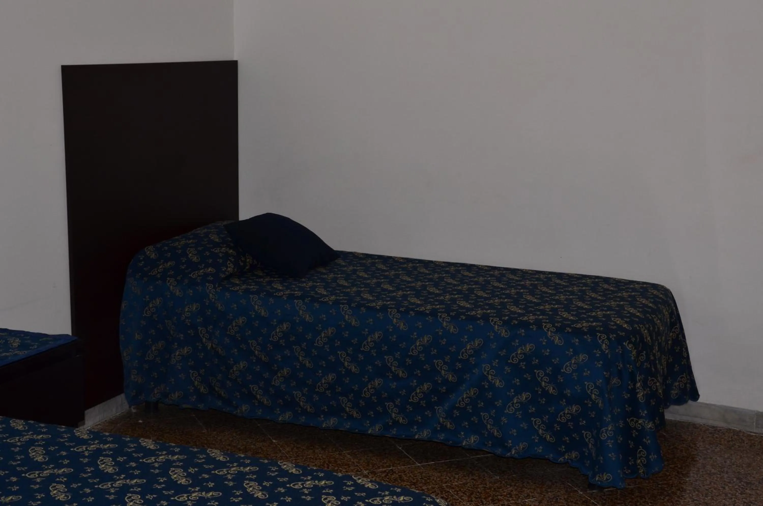 Bed in Ines Downtown B&B