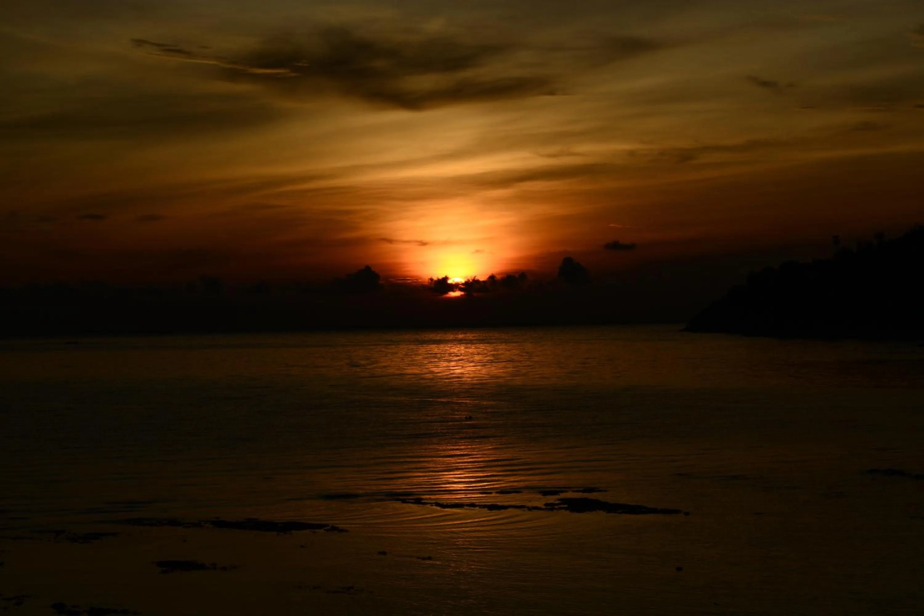Natural landscape in Shankara Parada Villas