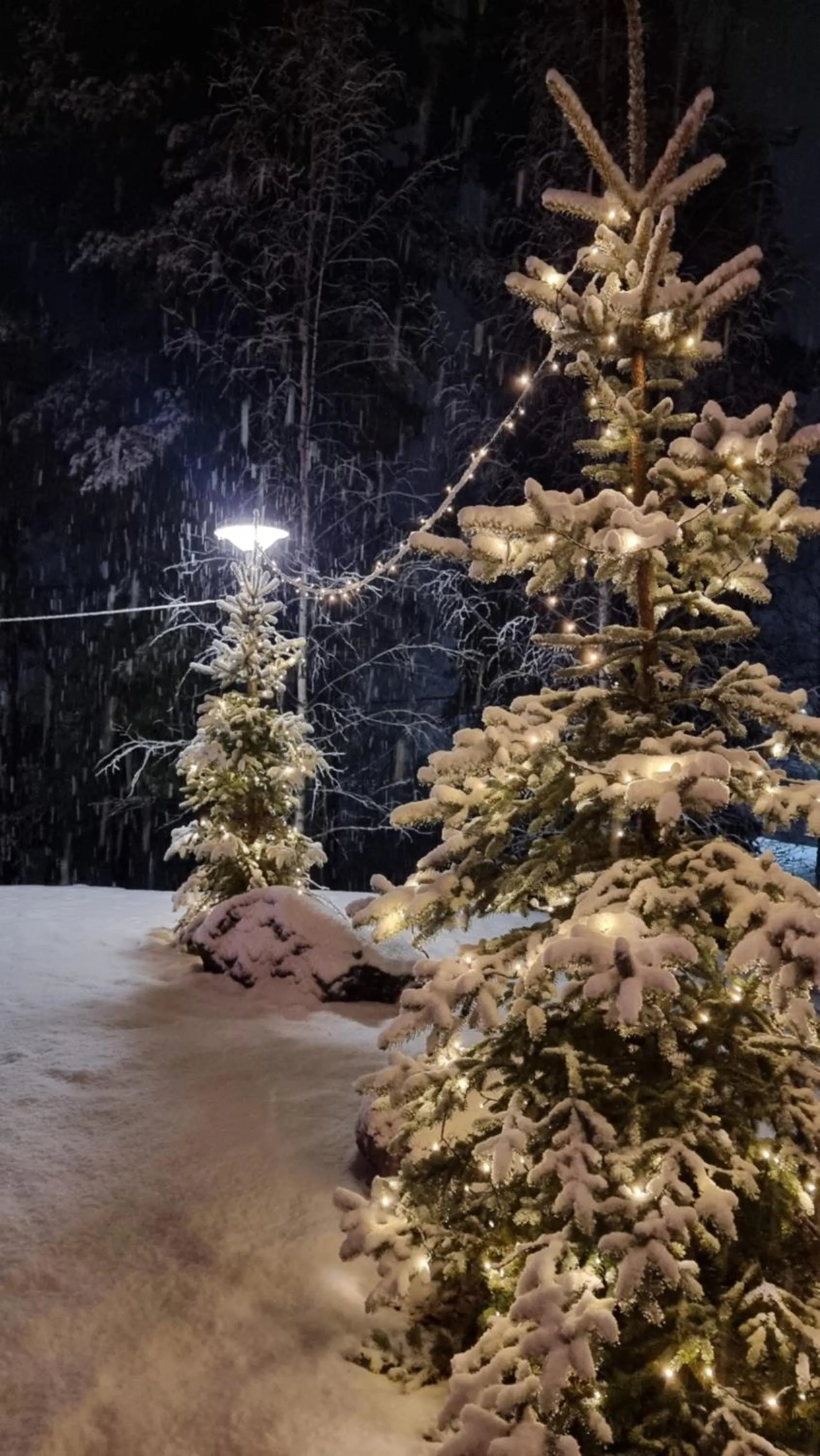 Natural landscape in Asikkalan Motelli