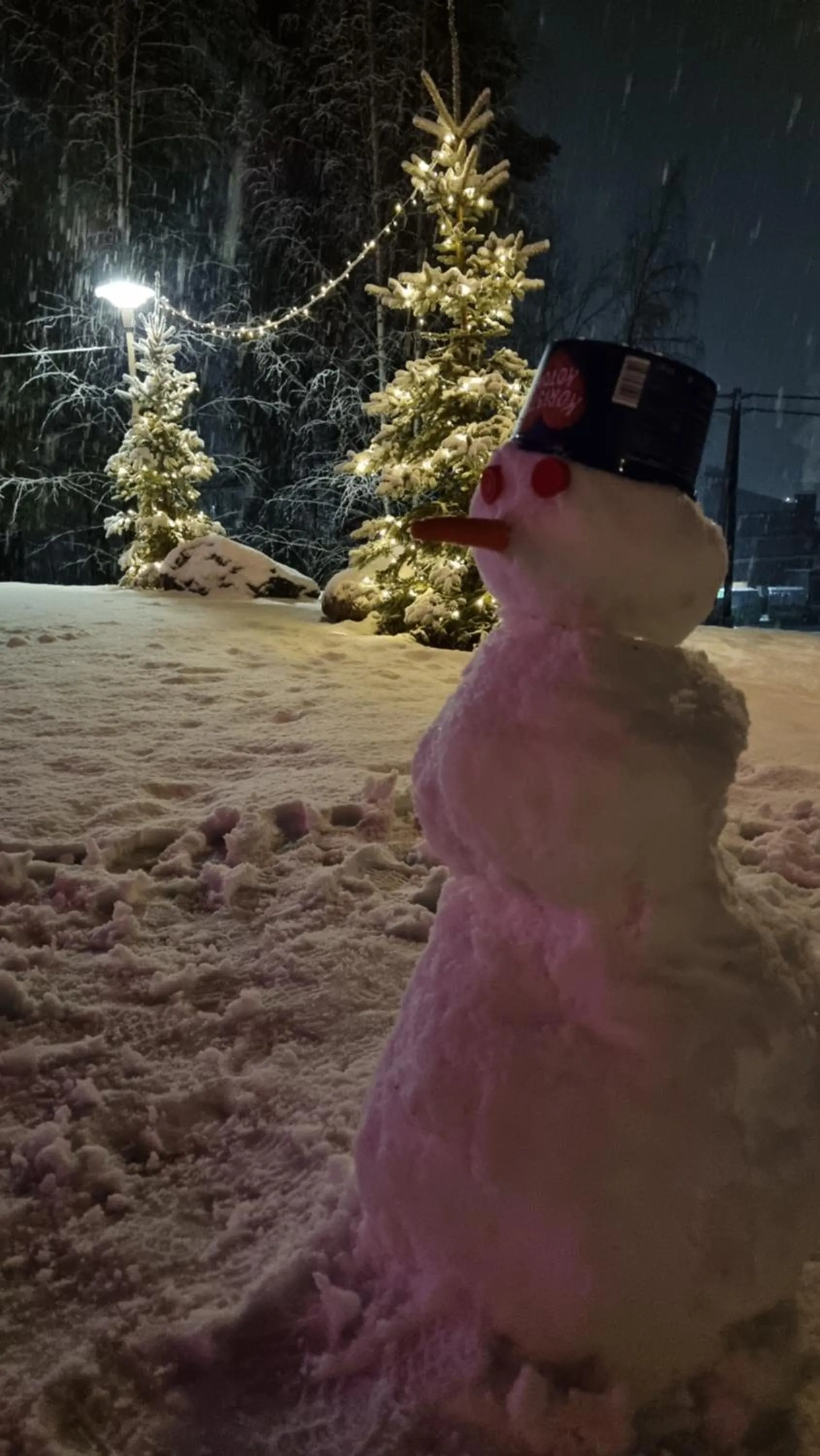 Winter in Asikkalan Motelli