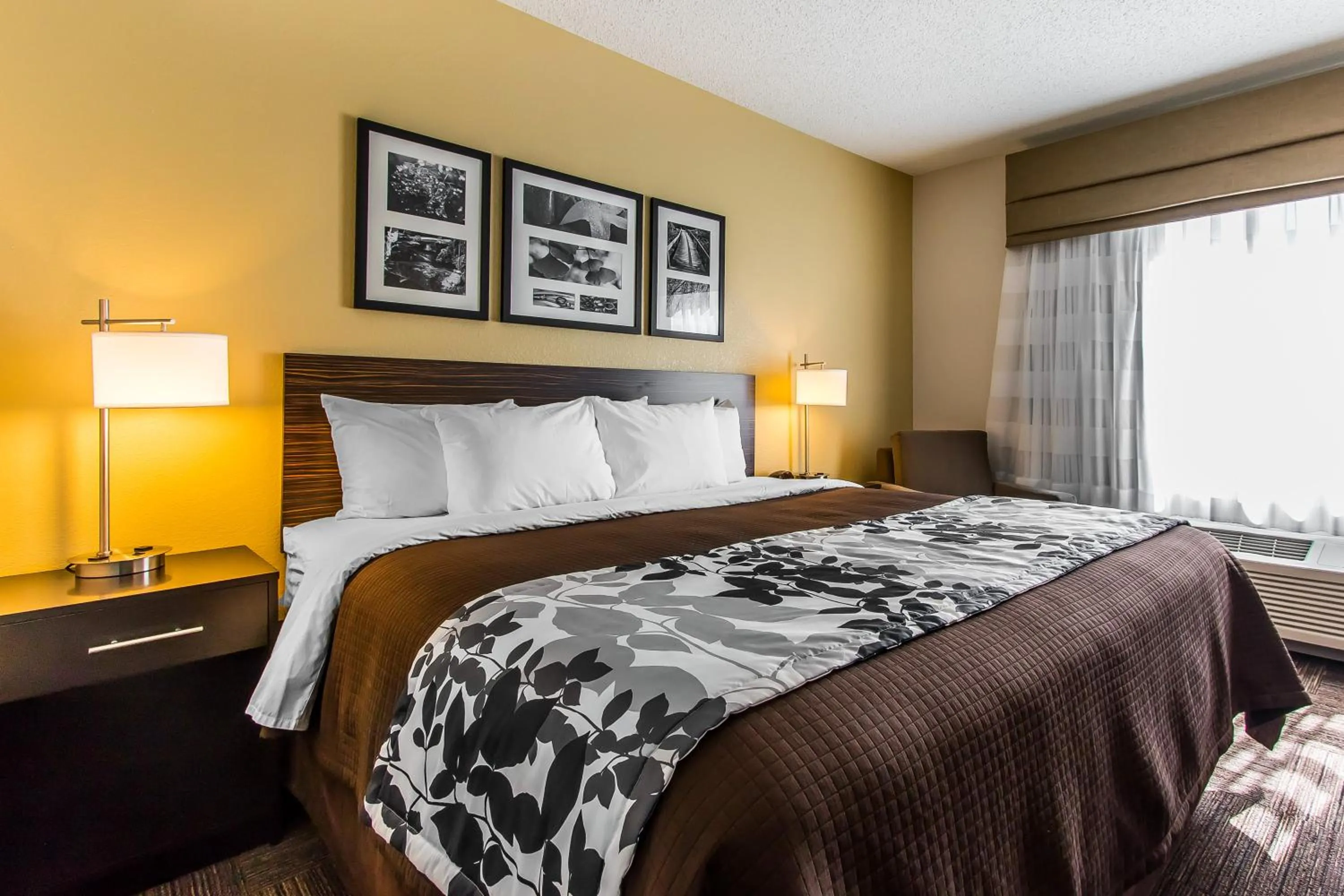 Bed in Wingate by Wyndham Jonesboro Hodge