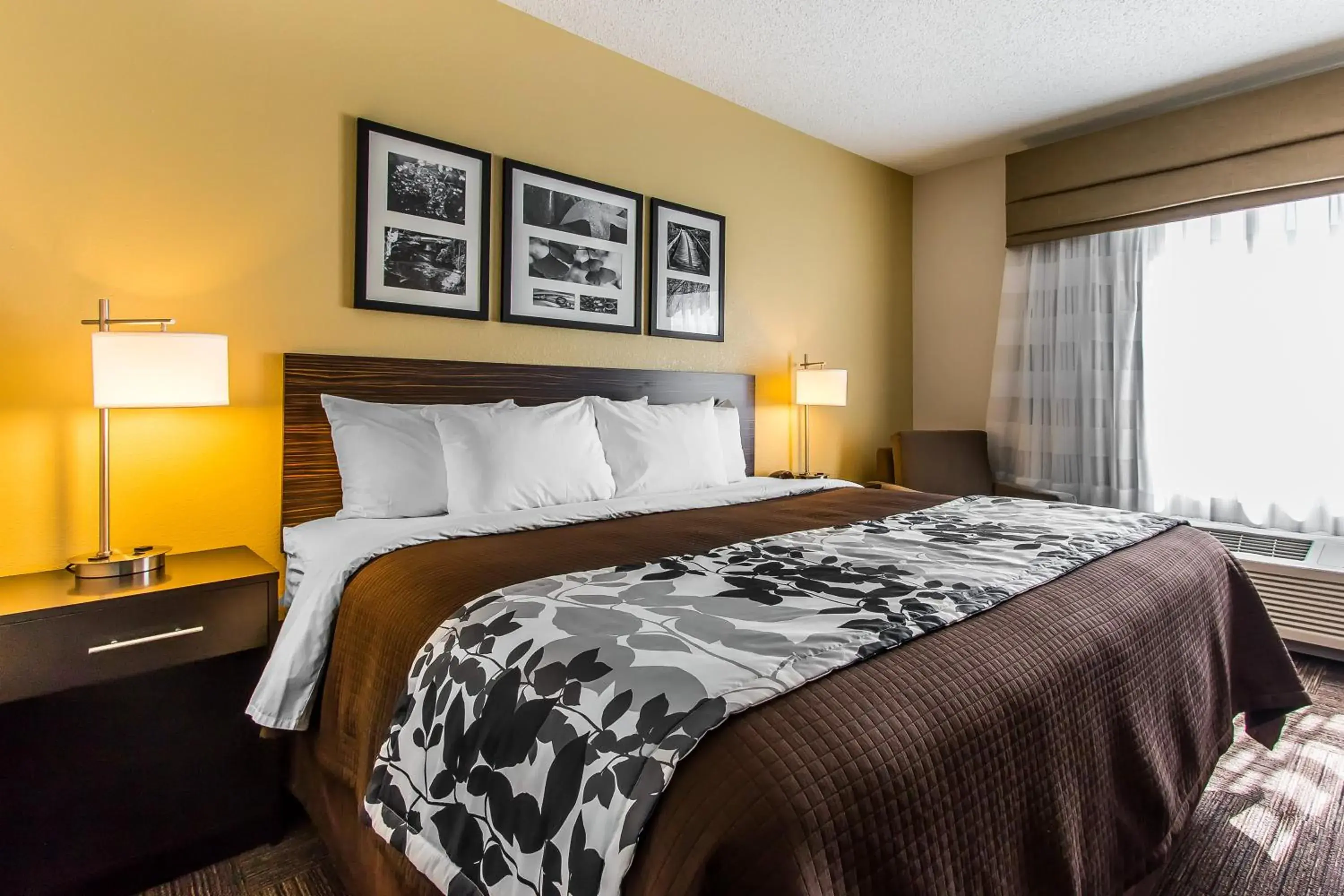 Bed in Wingate by Wyndham Jonesboro Hodge Bed in Wingate by Wyndham Jonesboro Hodge