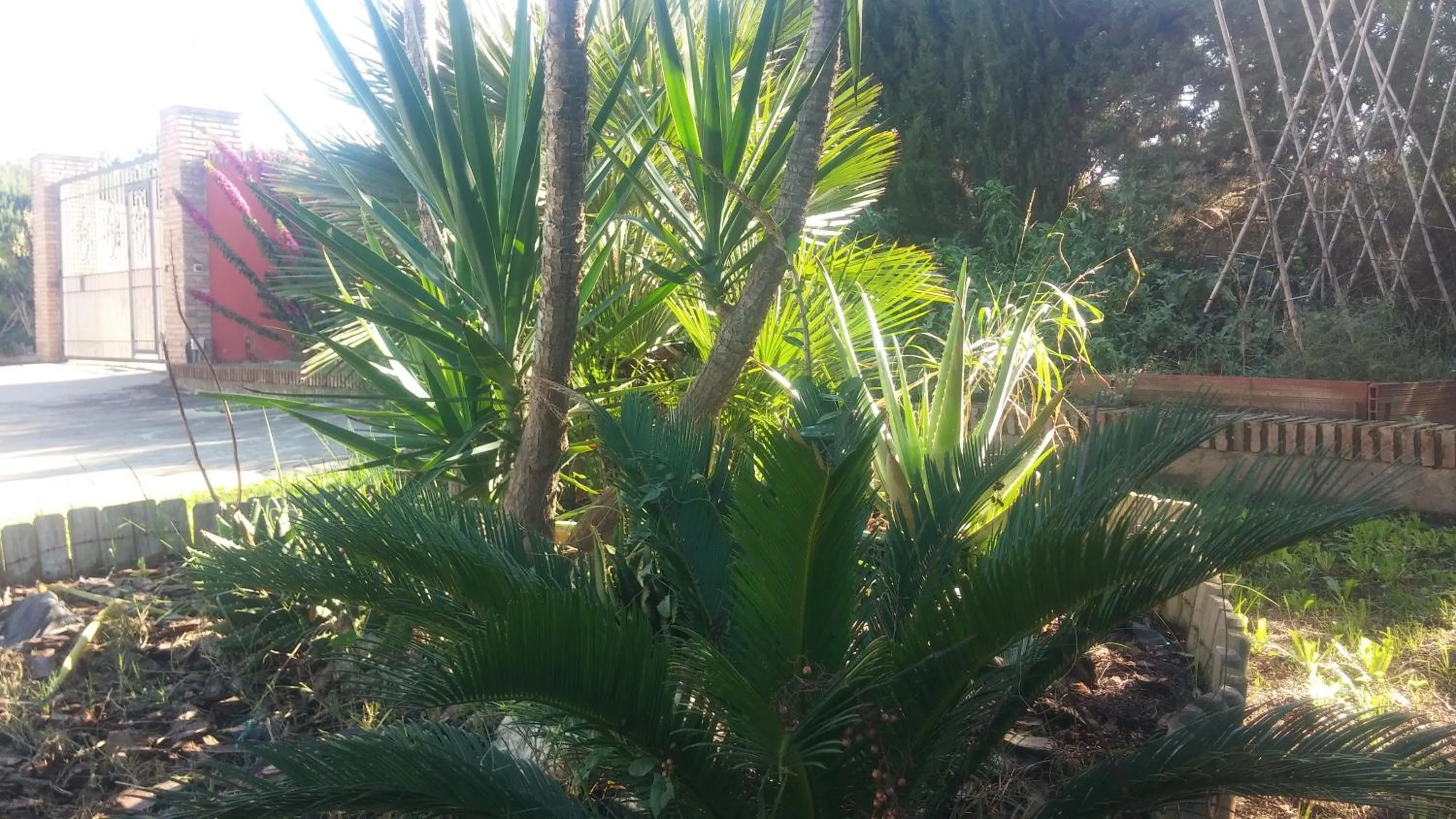 Garden in El Manantial B&B