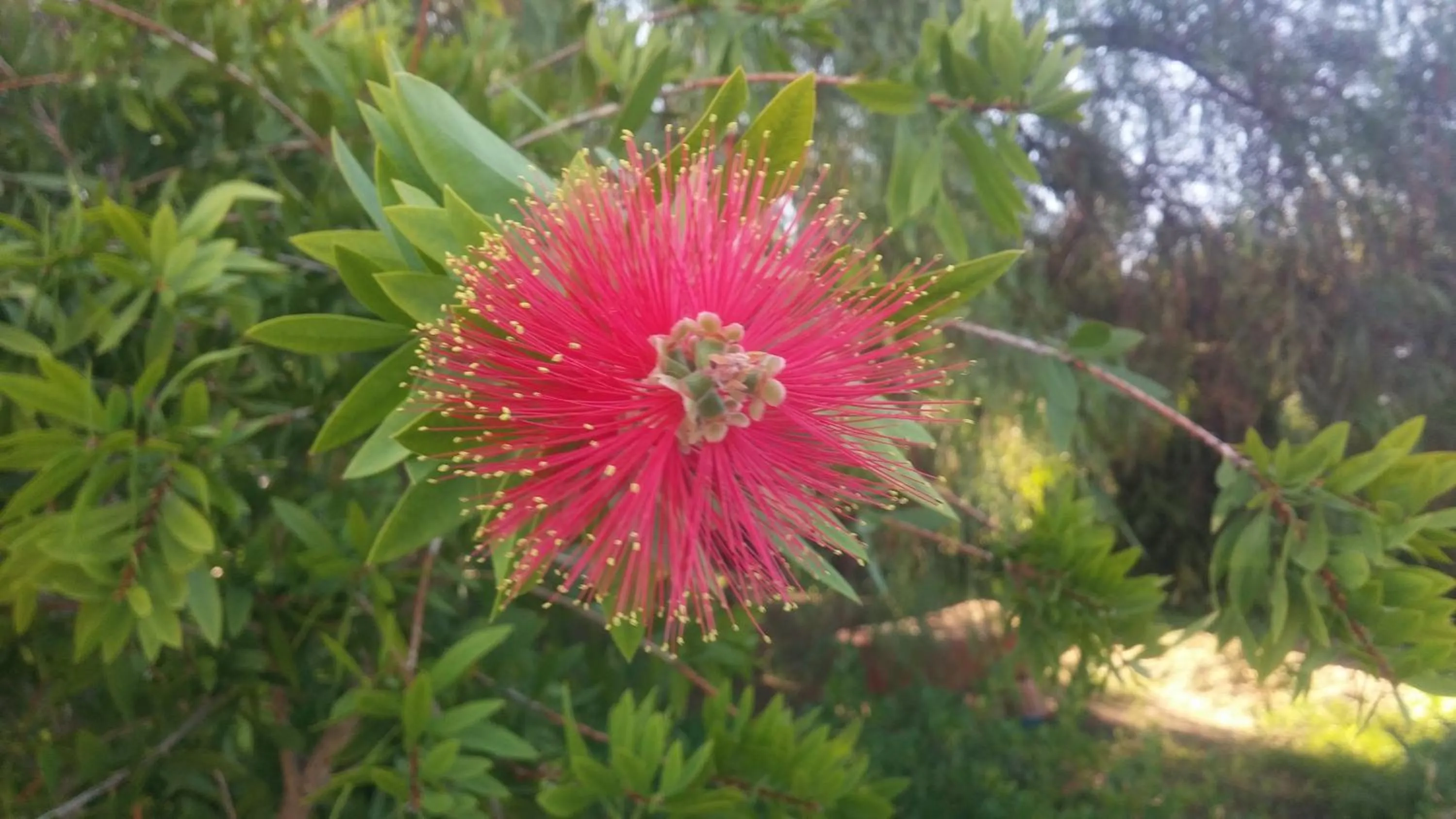 Spring in El Manantial B&B