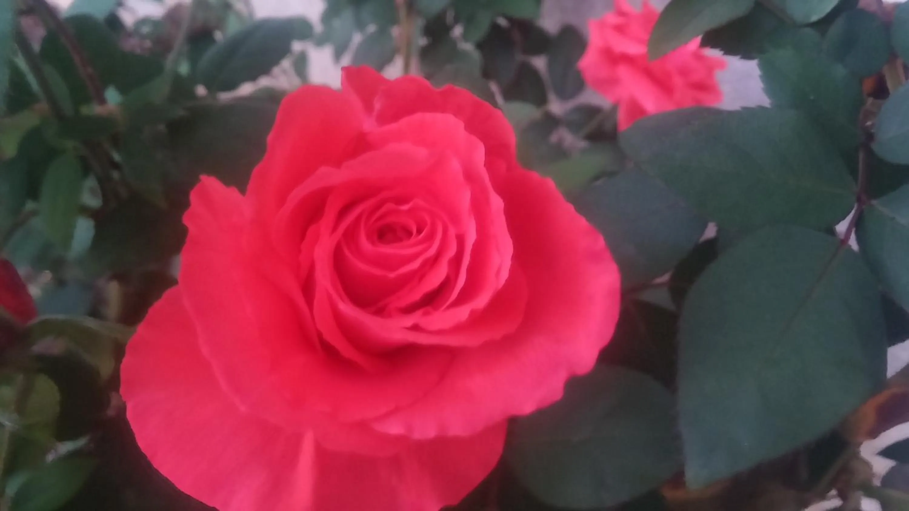 Spring in El Manantial B&B