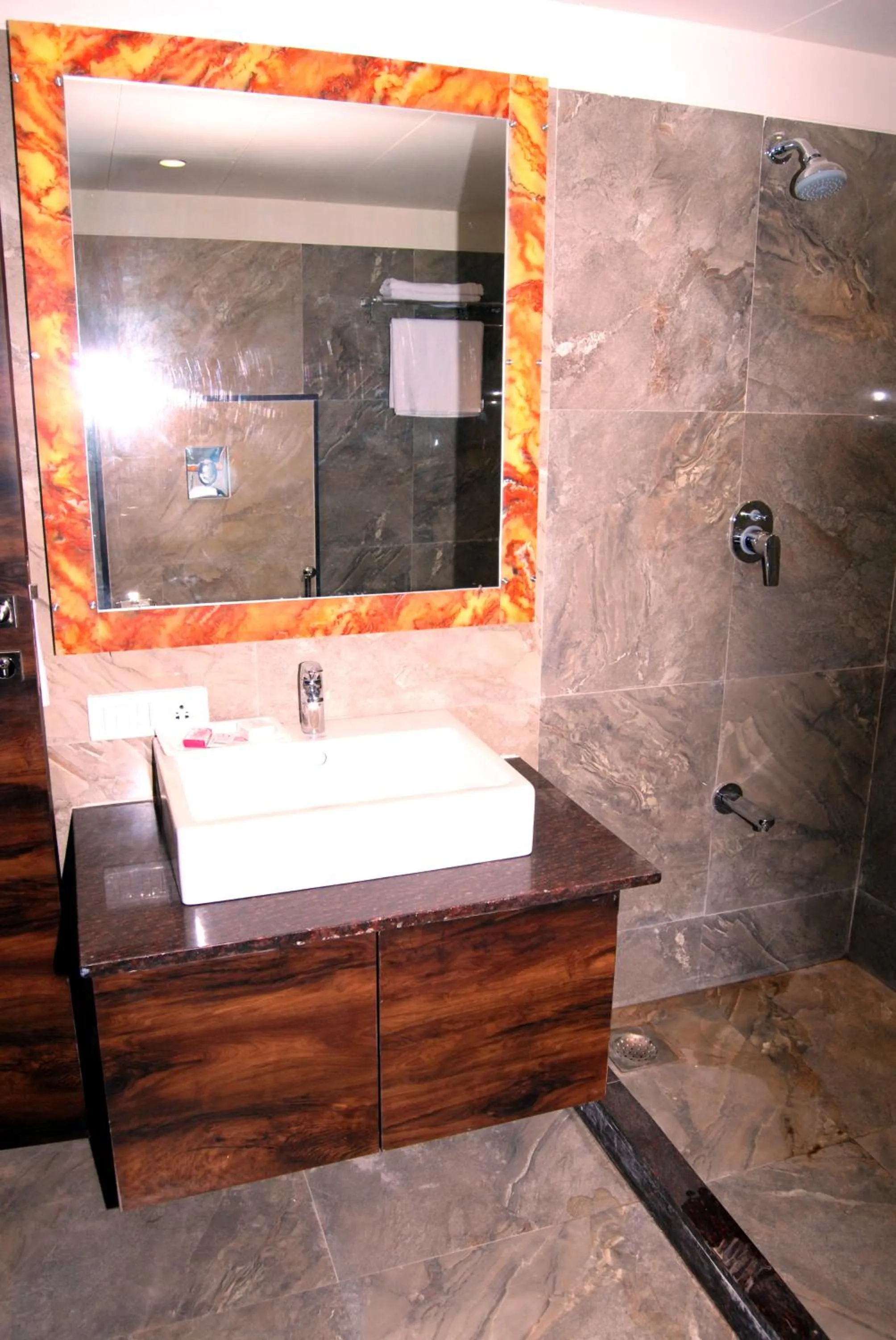 Shower in Hotel Apaar