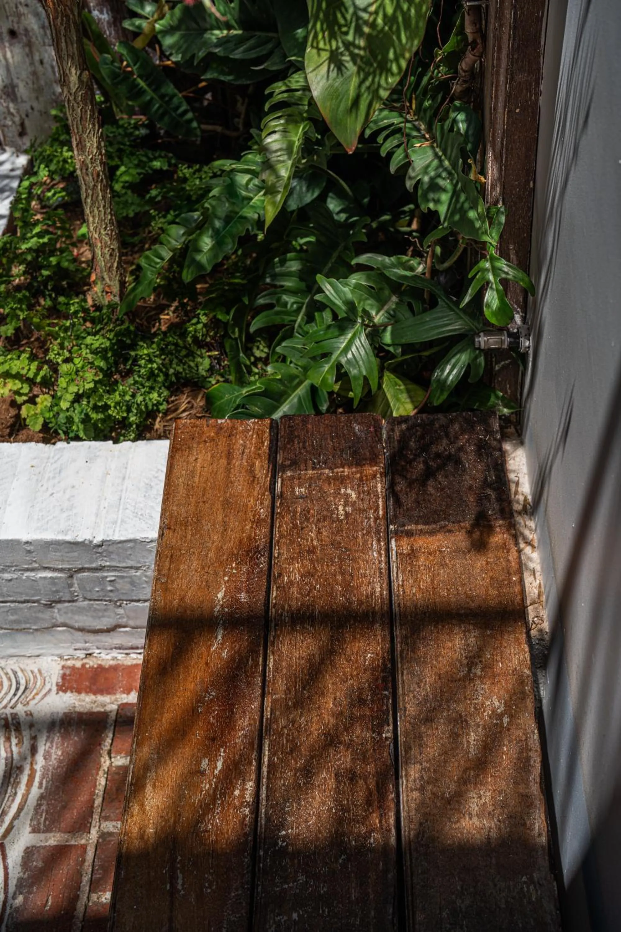Garden in Cheong Fatt Tze - The Qing Suites