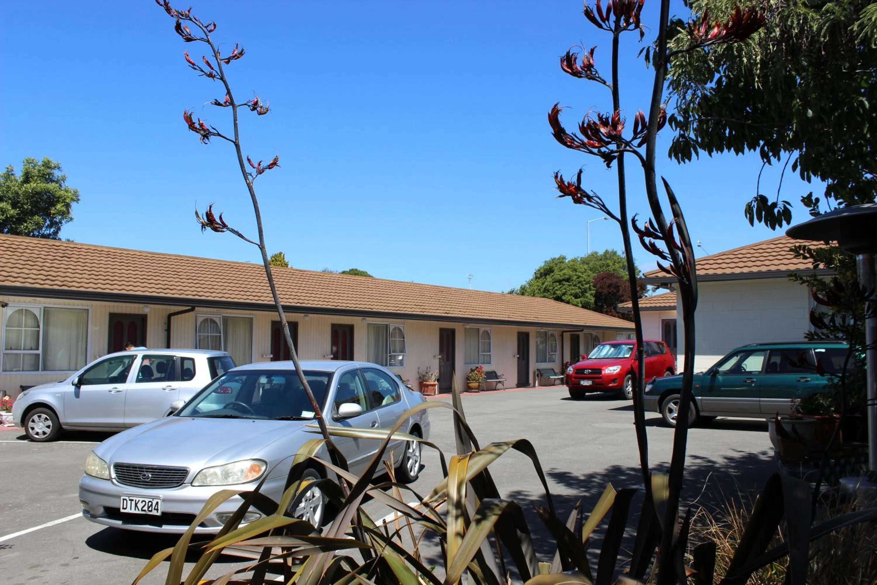 Day in Earnslaw Motel