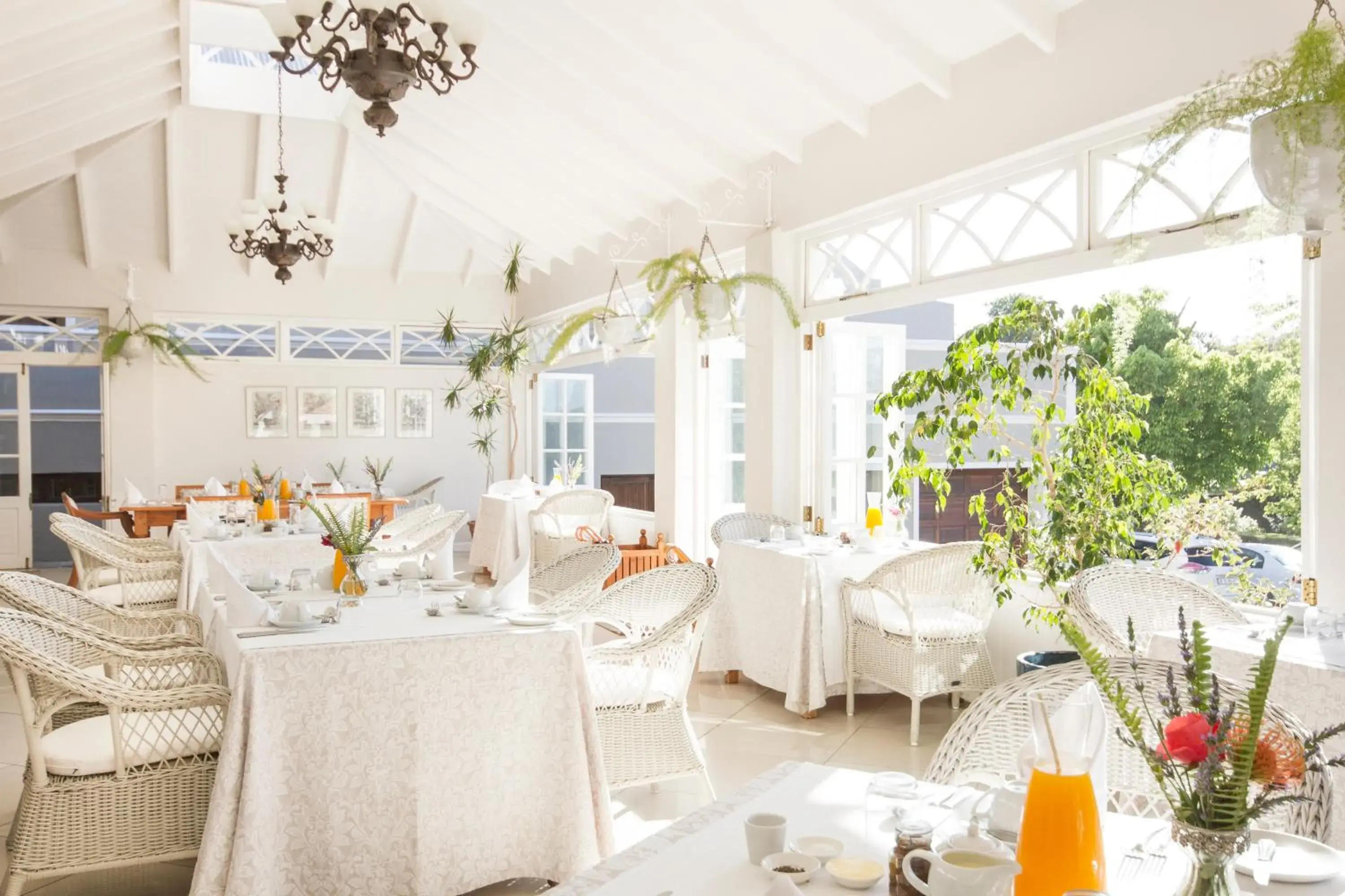 Restaurant/places to eat in Schoone Oordt Country House Restaurant/places to eat in Schoone Oordt Country House