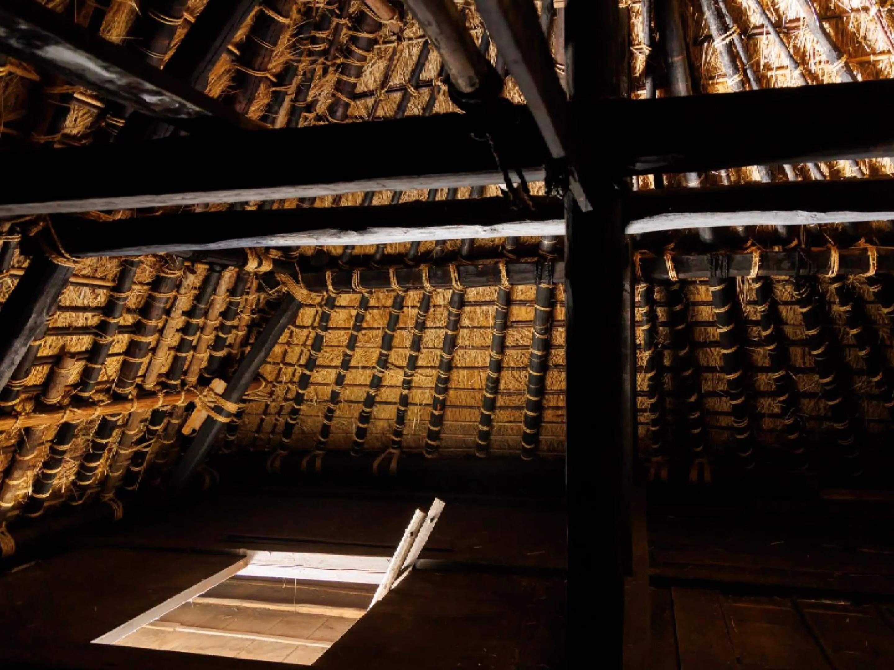 Photo of the whole room in Ryokan Kigusuriya