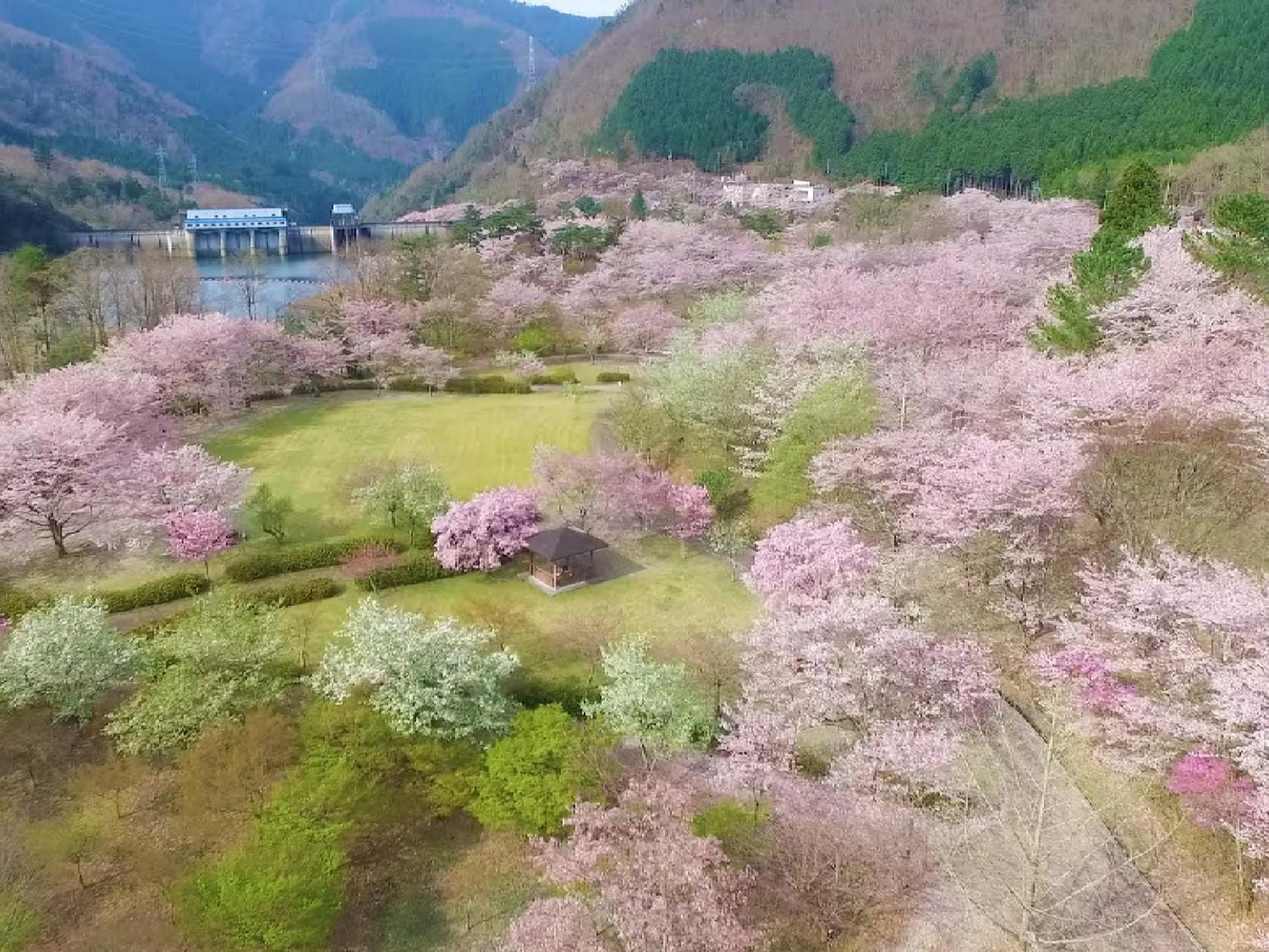 Spring in Ryokan Kigusuriya
