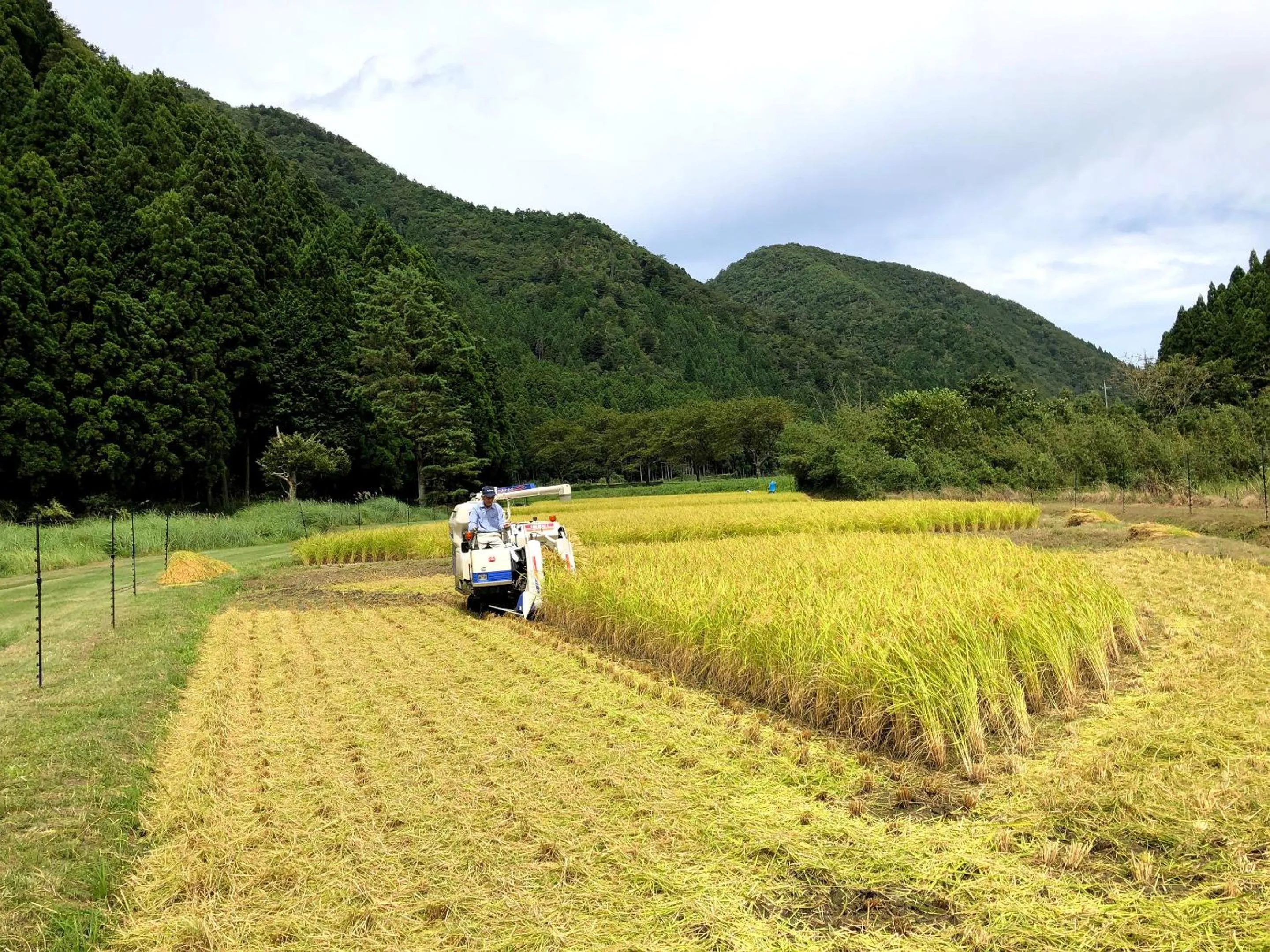 Off site in Ryokan Kigusuriya