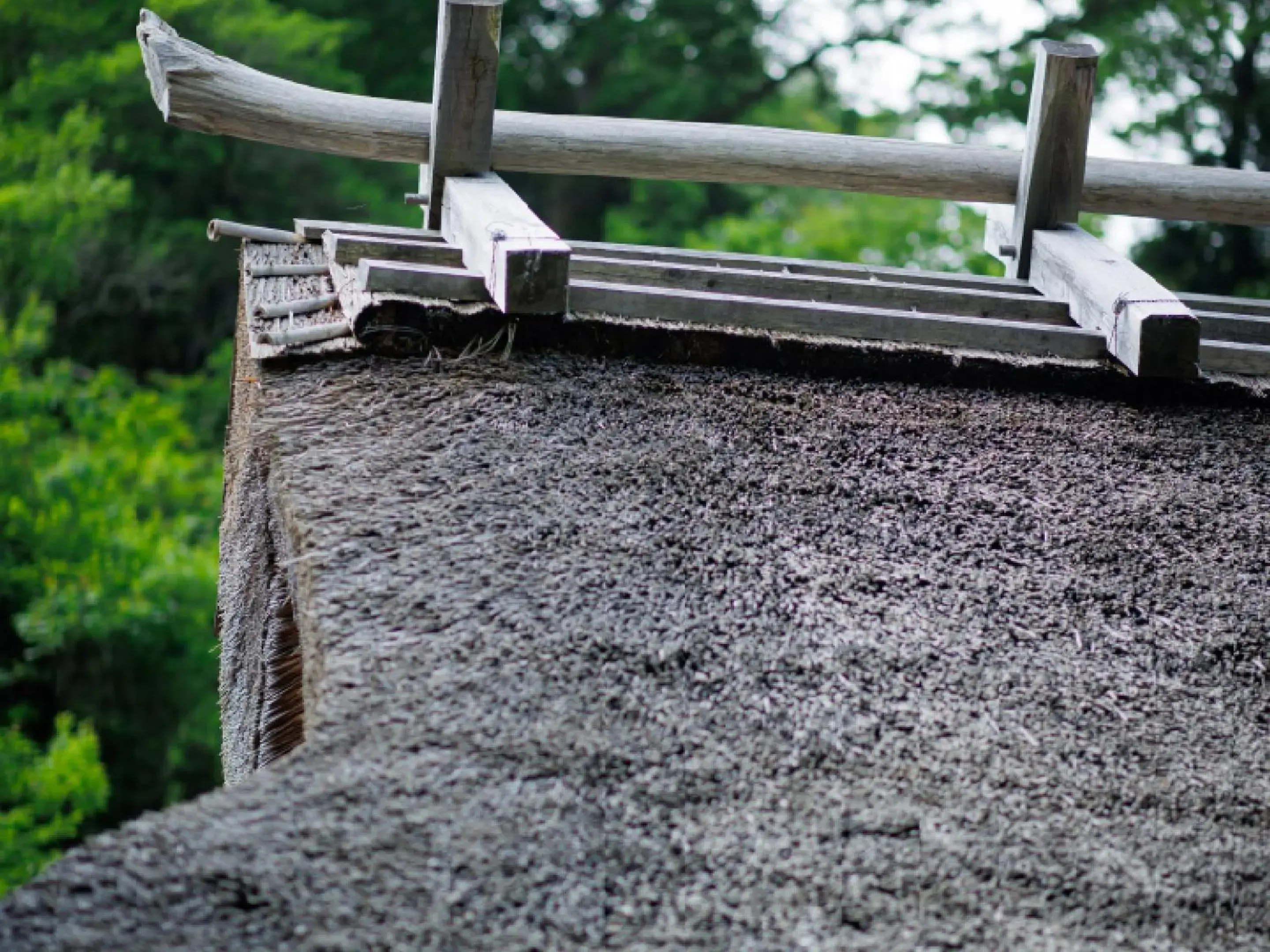 Property building in Ryokan Kigusuriya Property building in Ryokan Kigusuriya