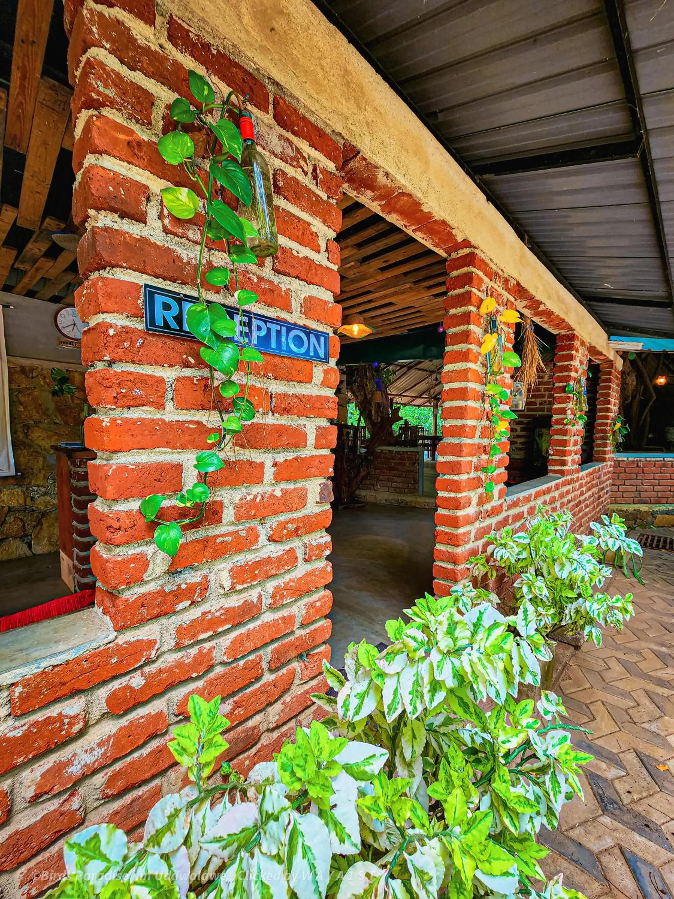 Property building in Birds Paradise Inn