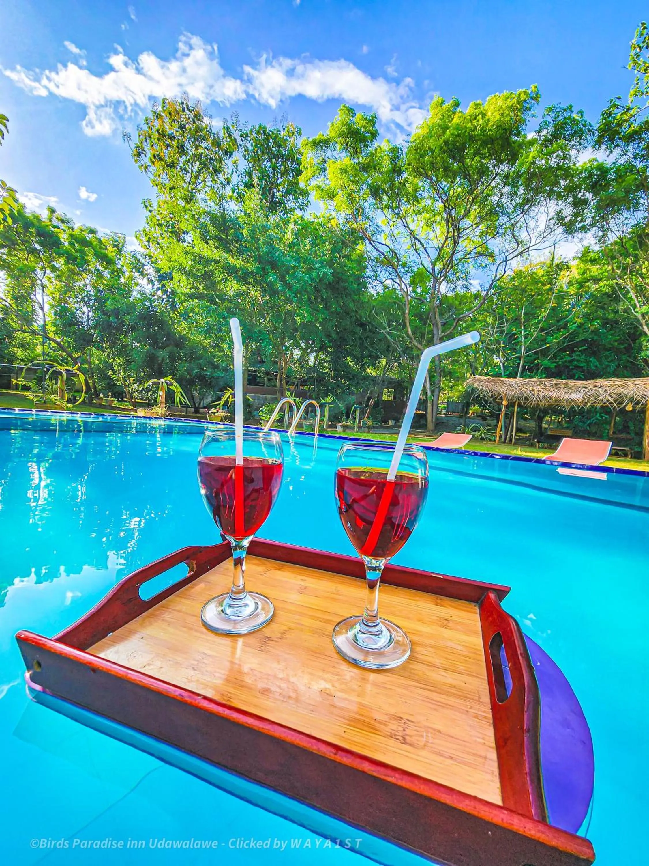 Natural landscape in Birds Paradise Inn