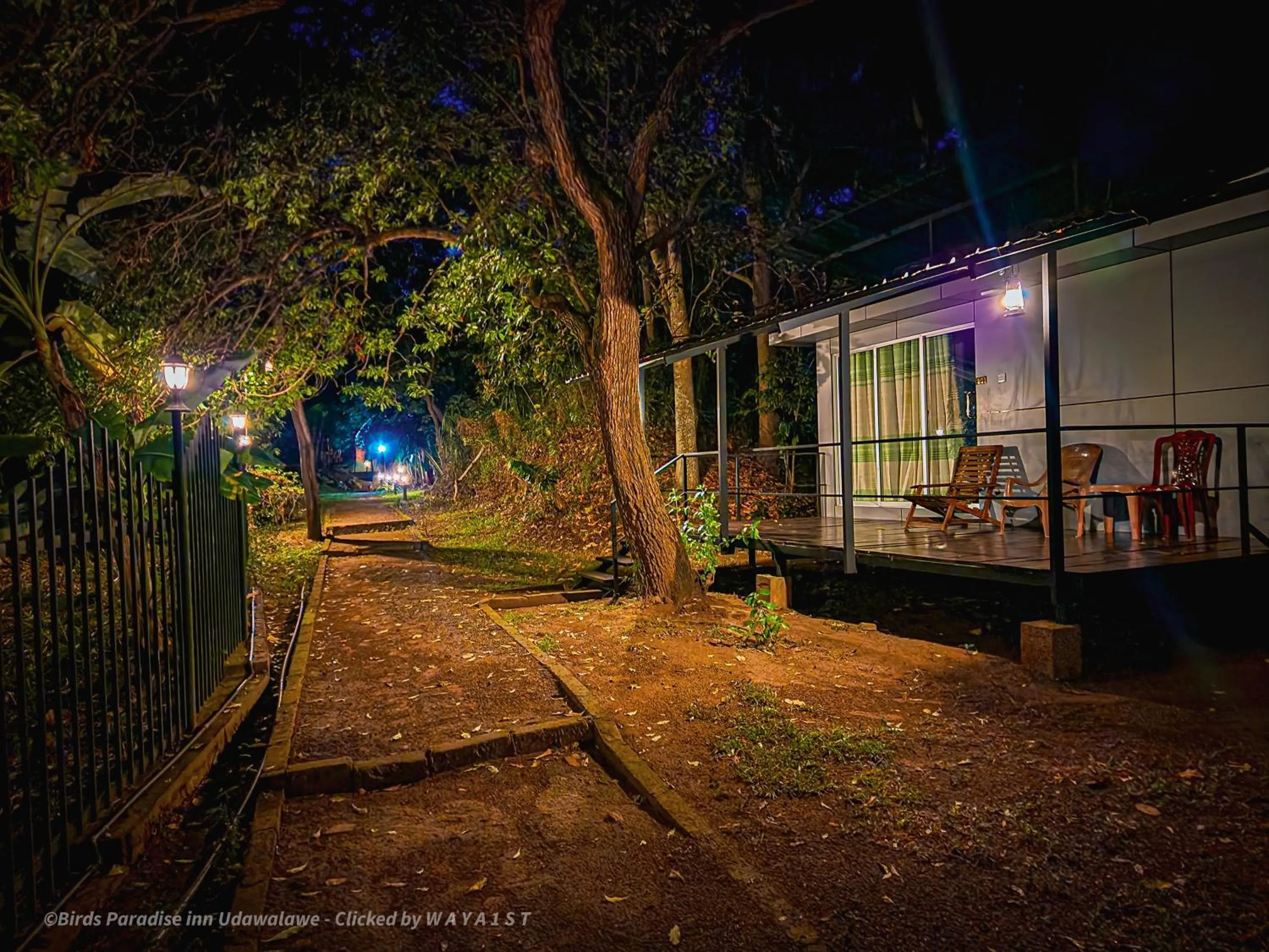 Night in Birds Paradise Inn