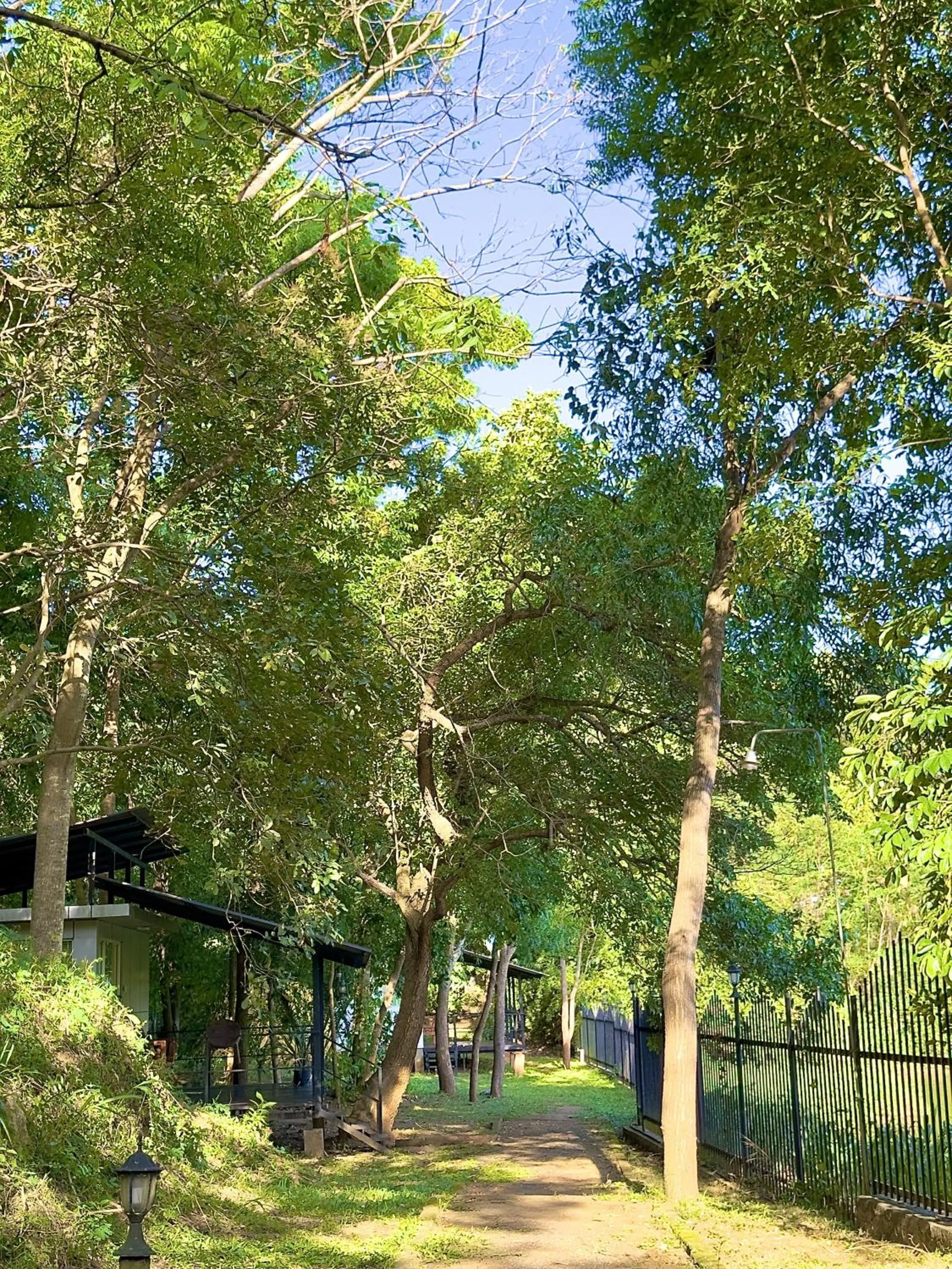 Garden view in Birds Paradise Inn