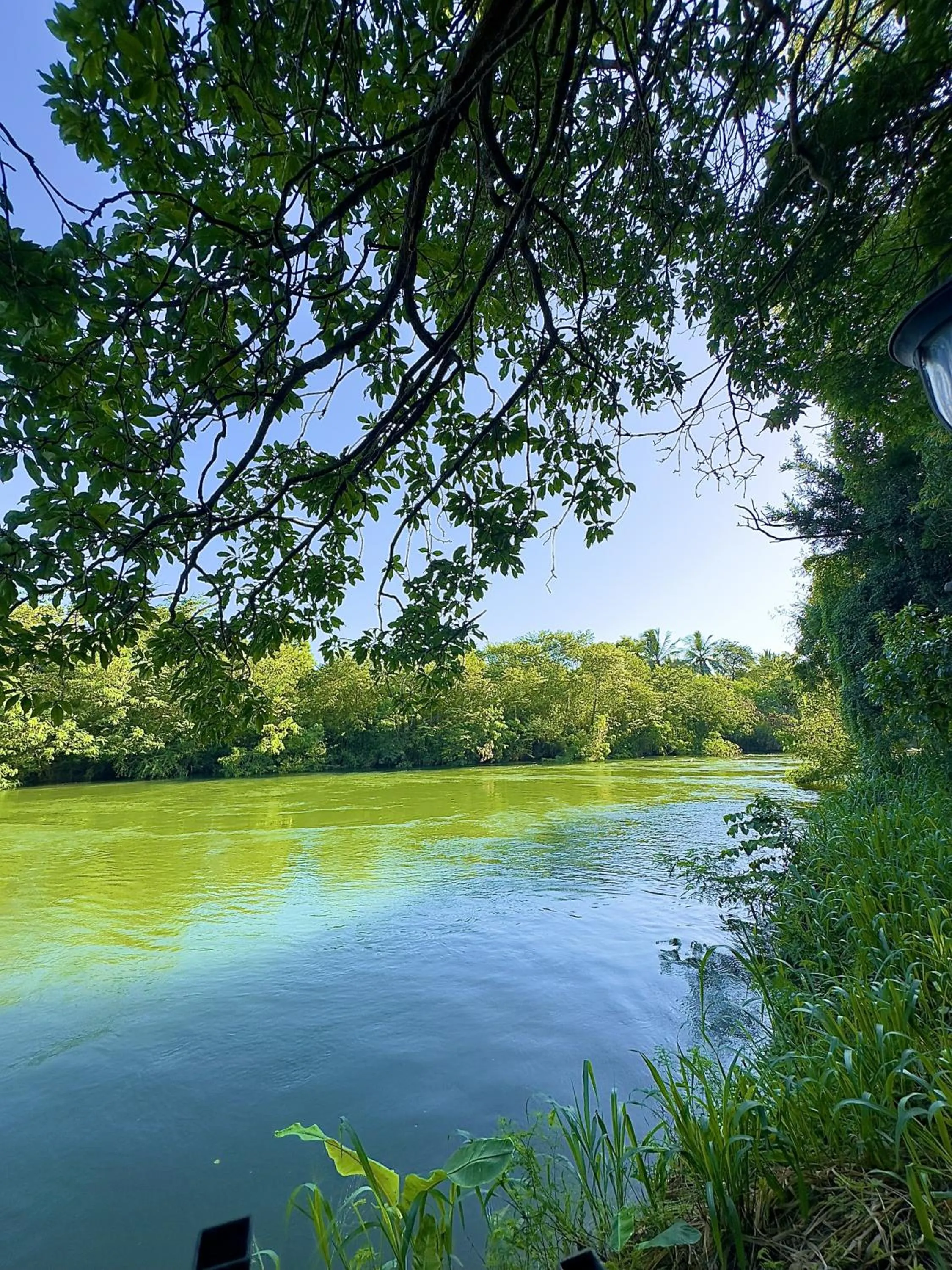 River view in Birds Paradise Inn