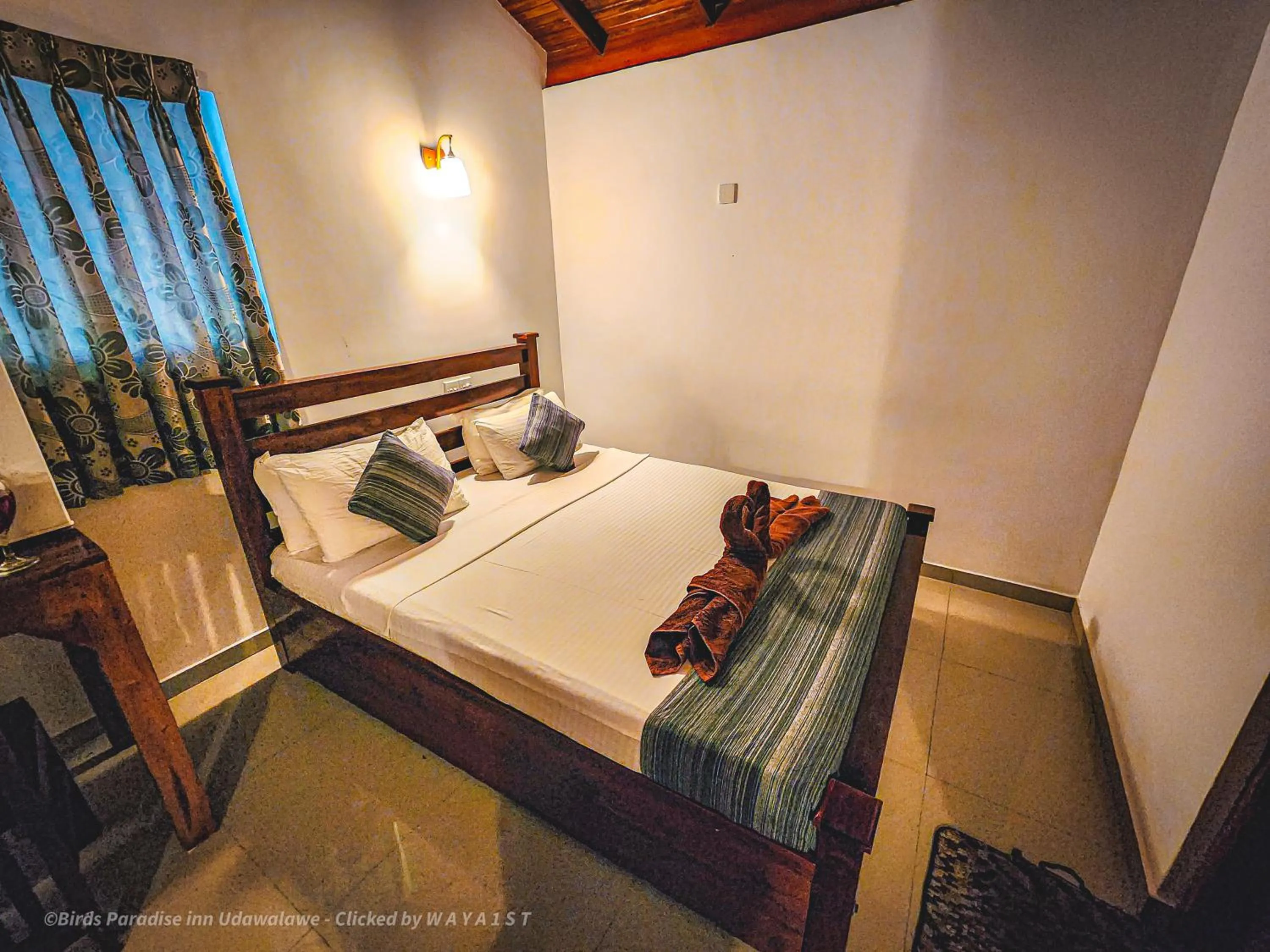 Bed in Birds Paradise Inn