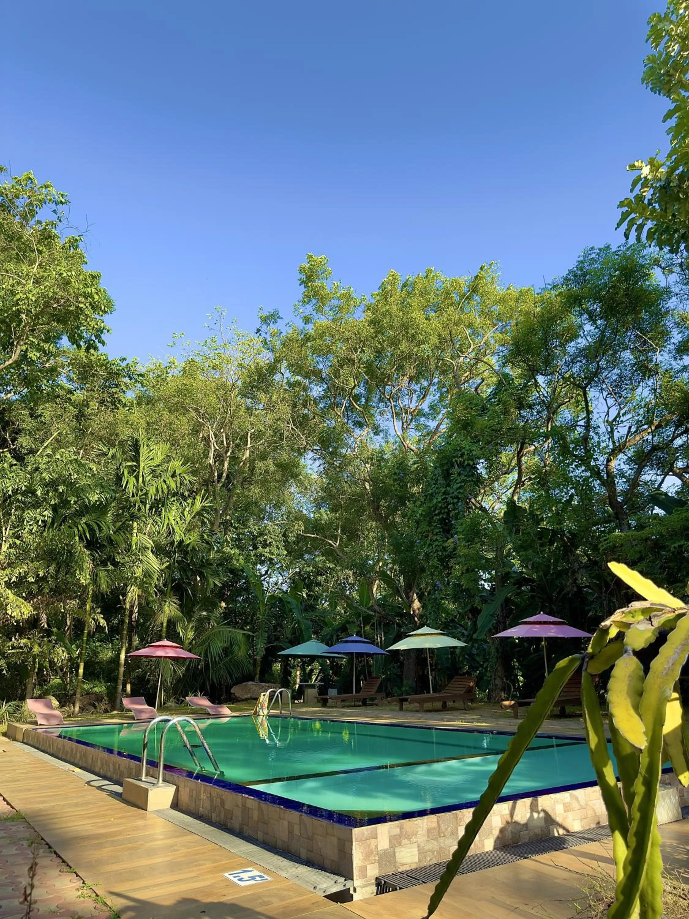 Swimming pool in Birds Paradise Inn