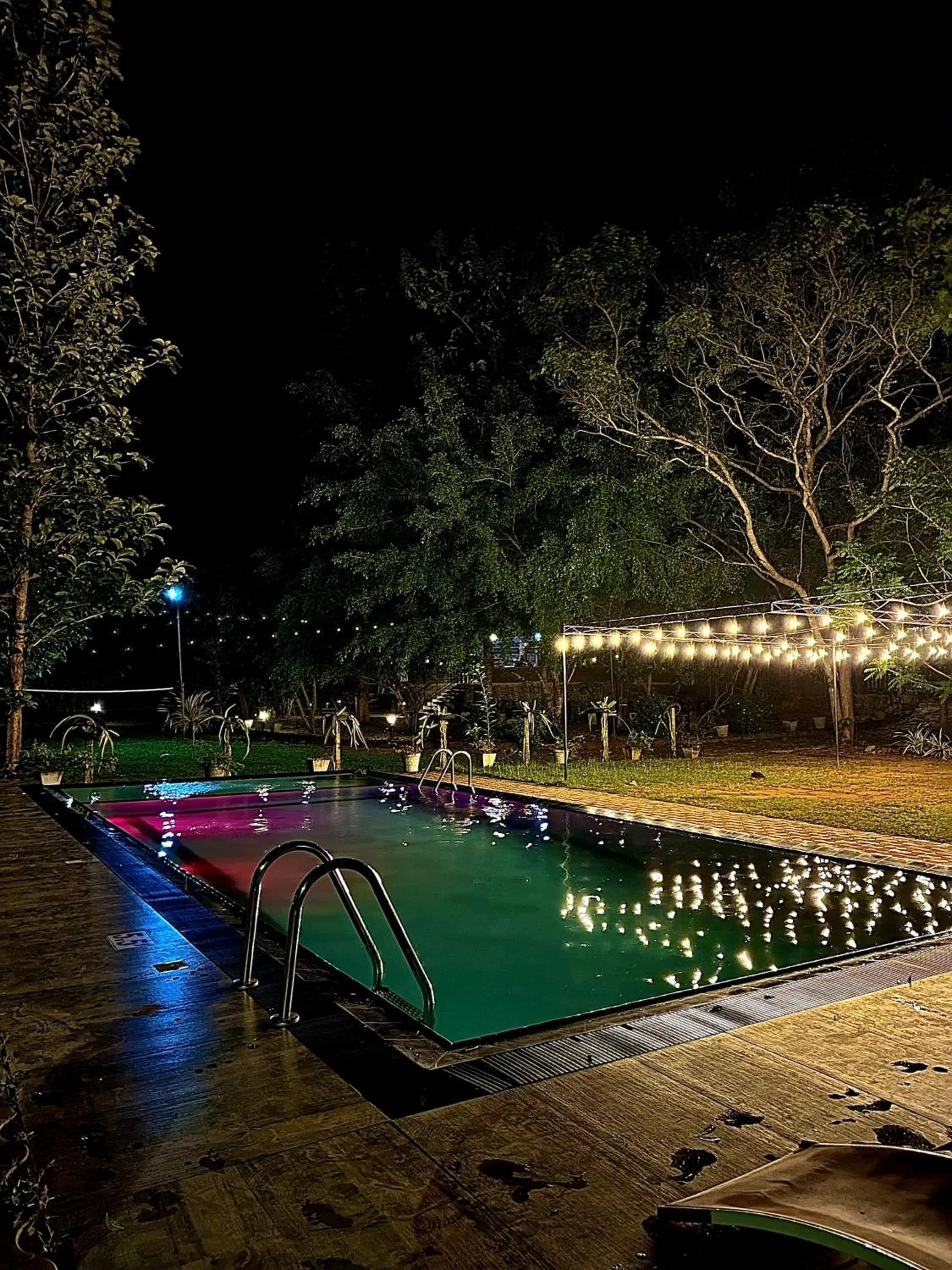 Swimming pool in Birds Paradise Inn