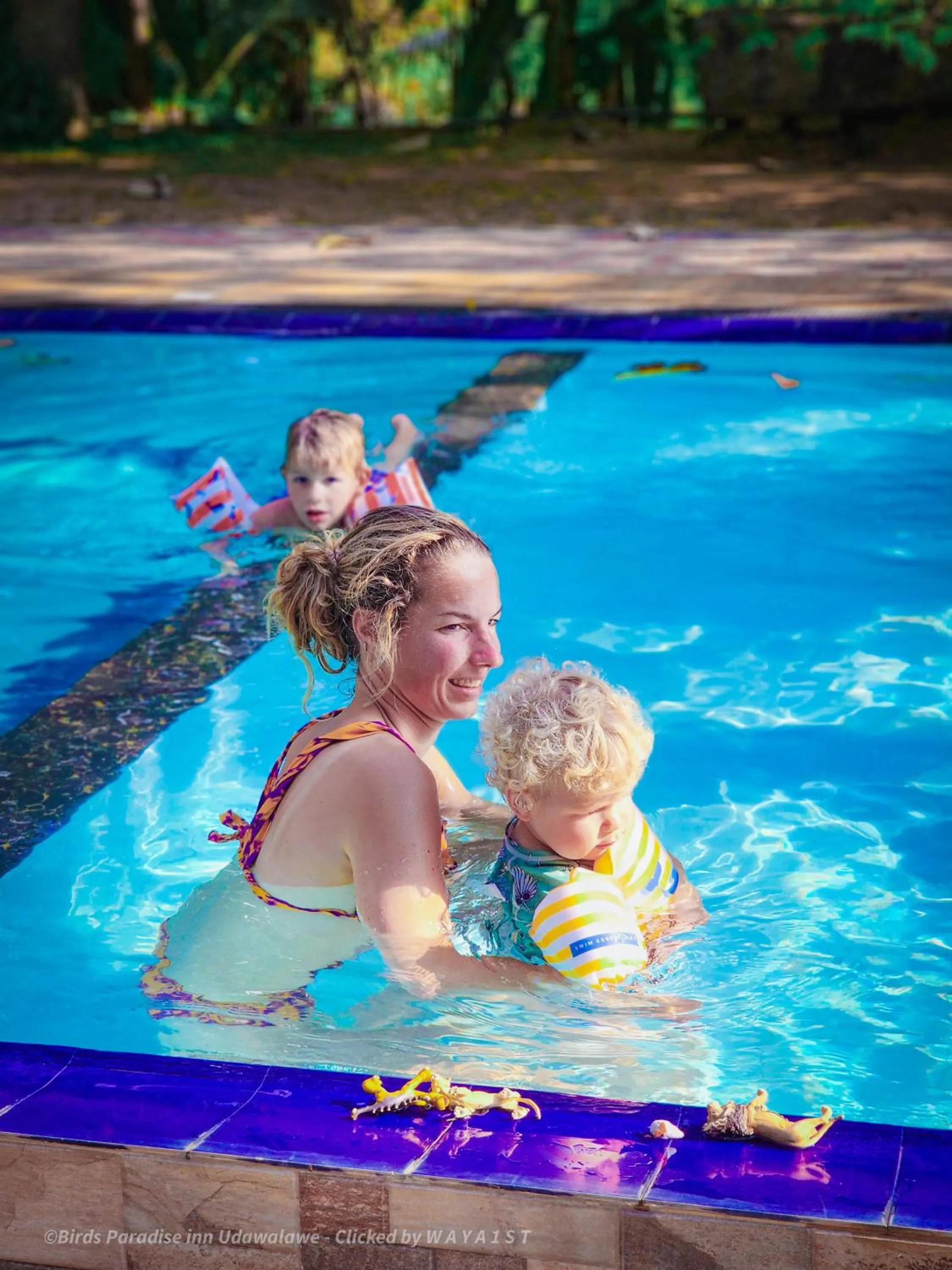 Pool view in Birds Paradise Inn