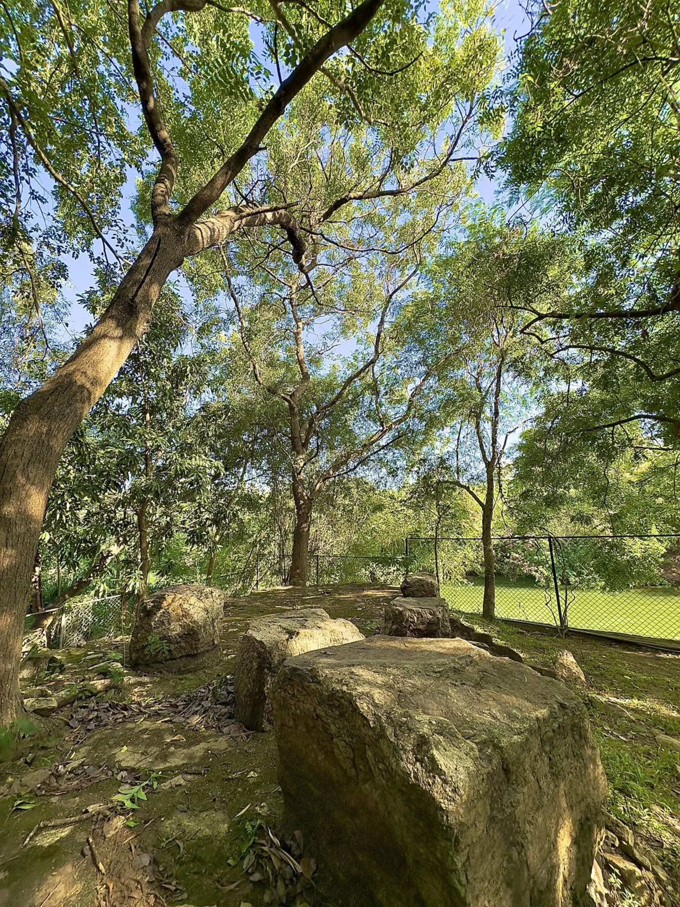 Garden view in Birds Paradise Inn